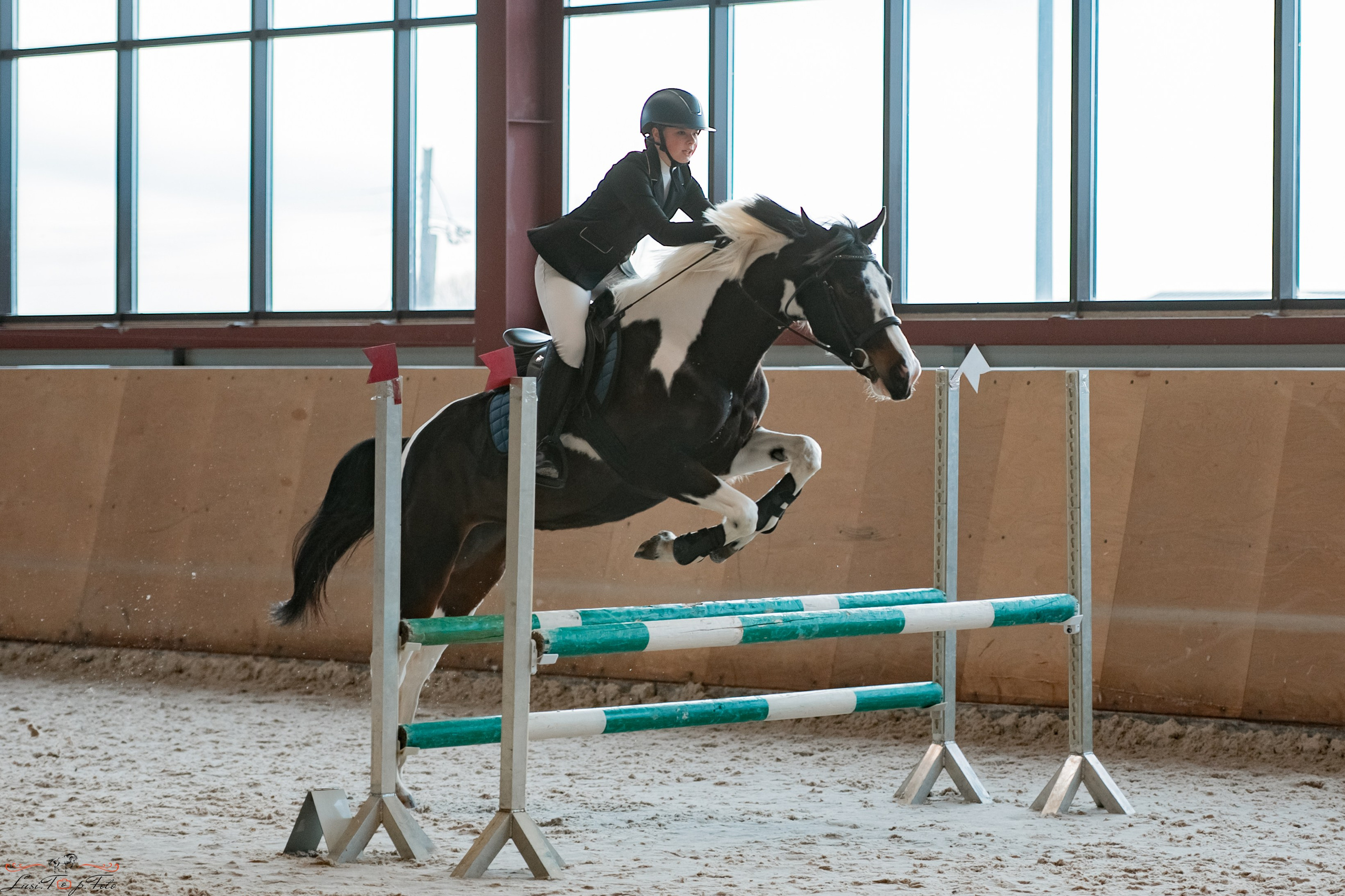 Эквипарк 6 этап Кубка Клубов. Конный и фотограф с животными в Твери Топталова Люся