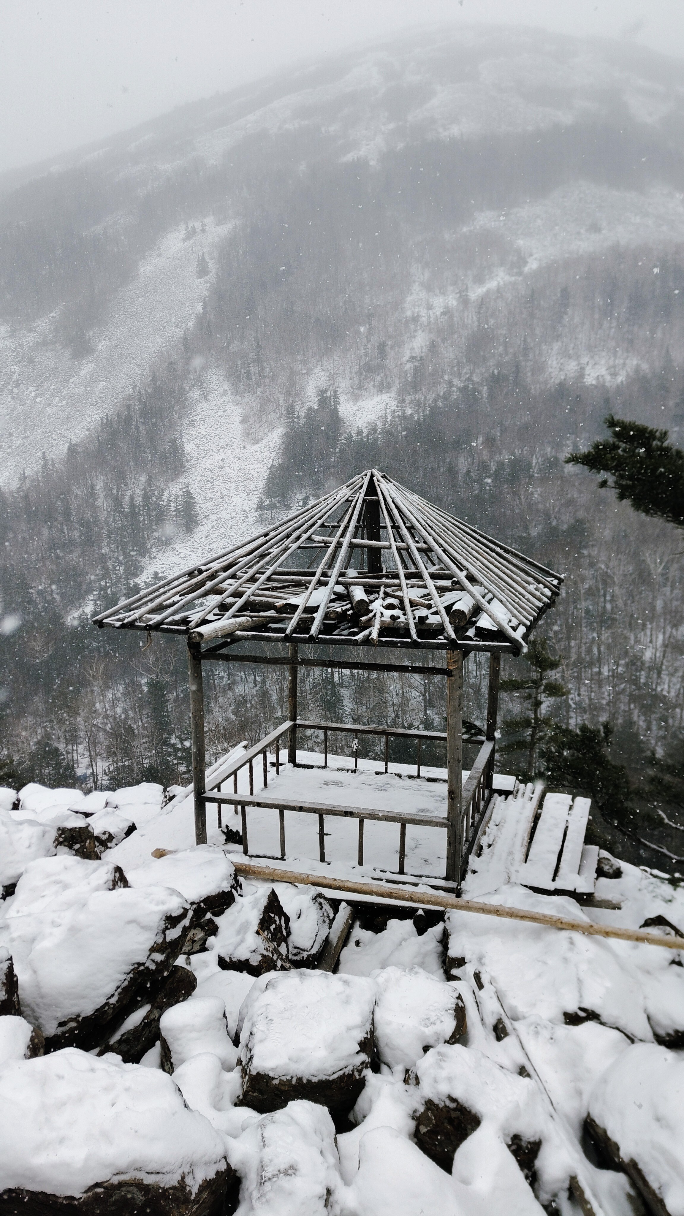 Беседка ушуистов в Приморском крае: местонахождение локации и примерный маршрут до точки