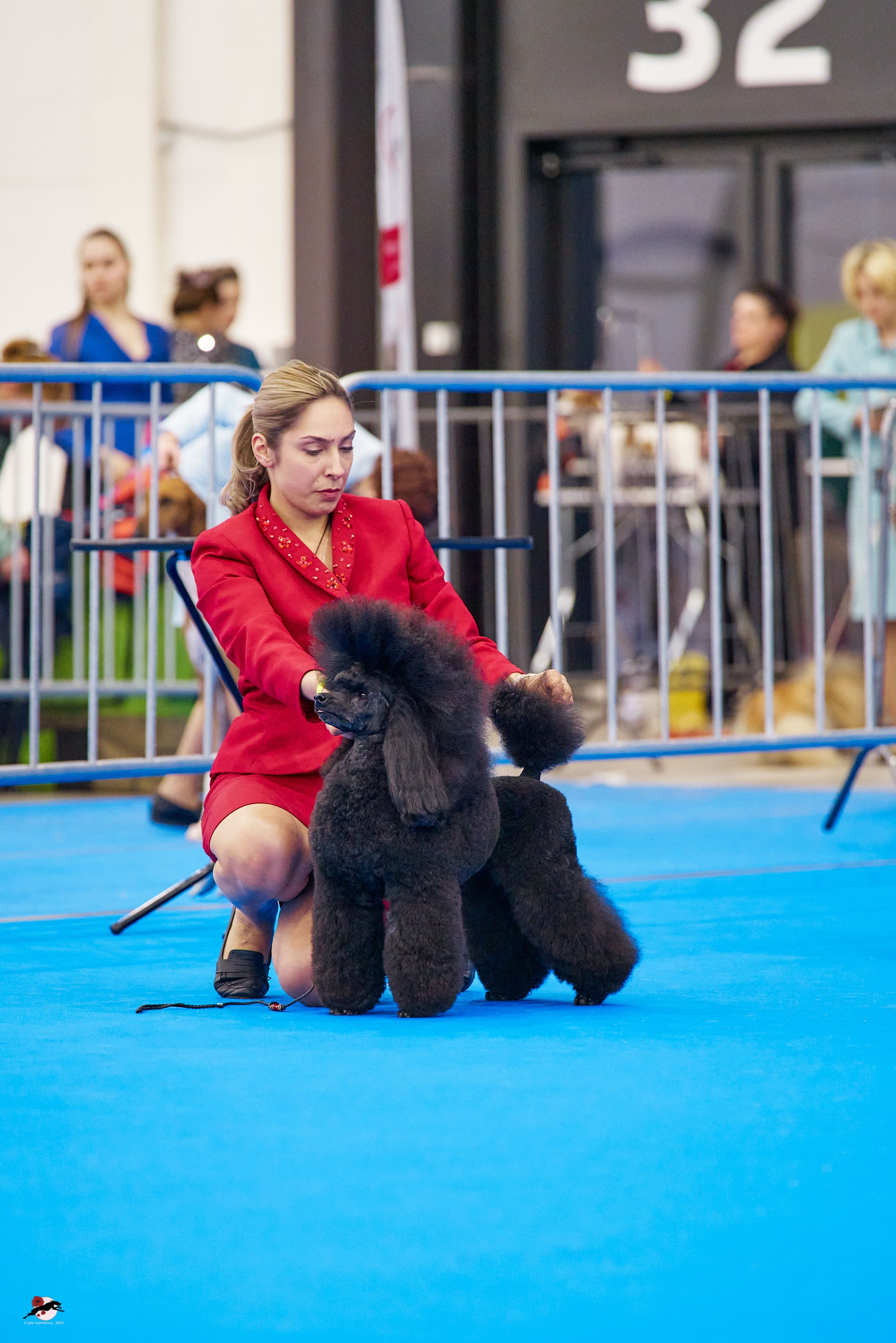 ГРАН ПРИ «ВЕСЕННИЙ ПЕТЕРБУРГ» & «СУПЕР КУБОК «ЭЛИТЫ»-2025»