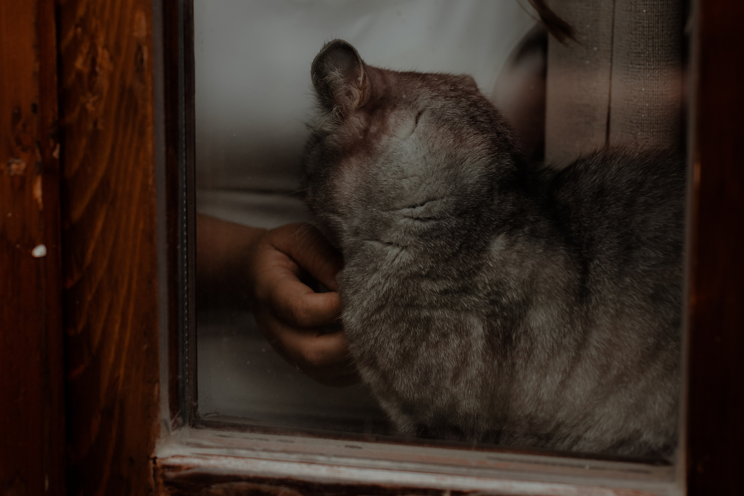 Камерная свадьба. Свадебный фотограф, Love Story Екатеринбург, Тюмень Кострова Елизавета