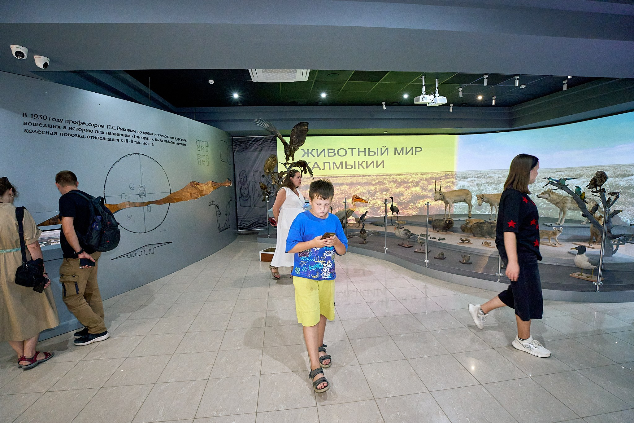 Элиста 08.2024. Петр Ступень. Свадебное, семейное фото и видео. Москва. Краснодар