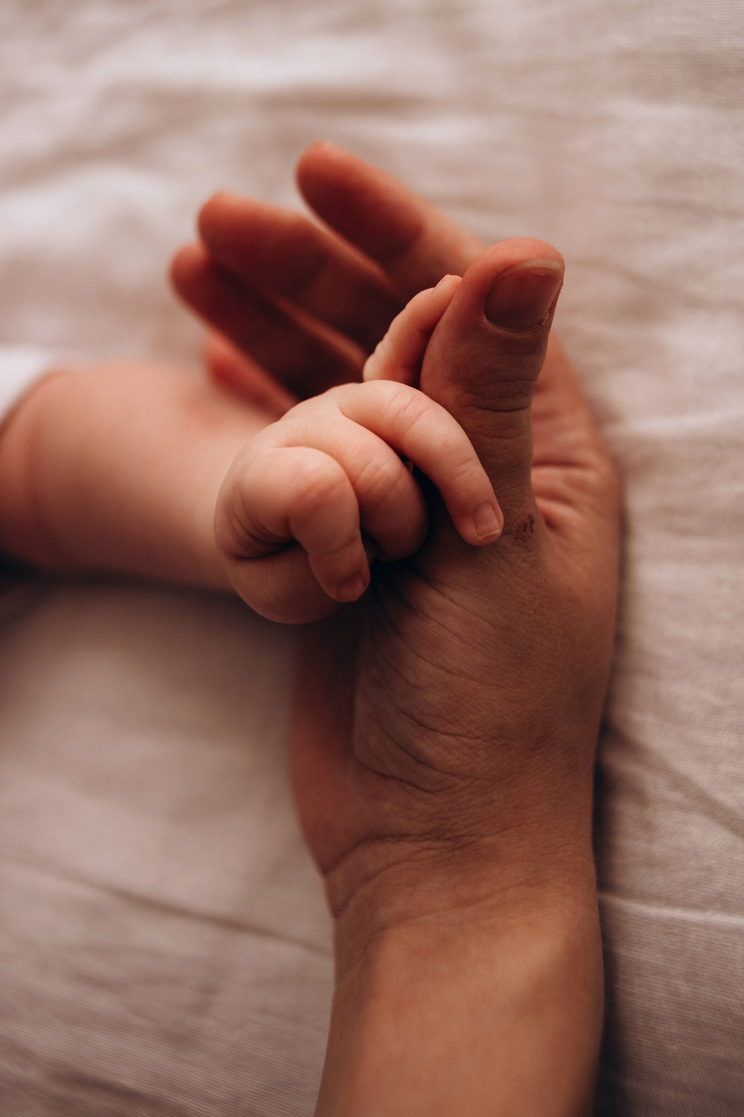 Обо мне | Семейный фотограф Курск | Мария Бабасева. Семейный фотограф в Курске Мария Бабасева