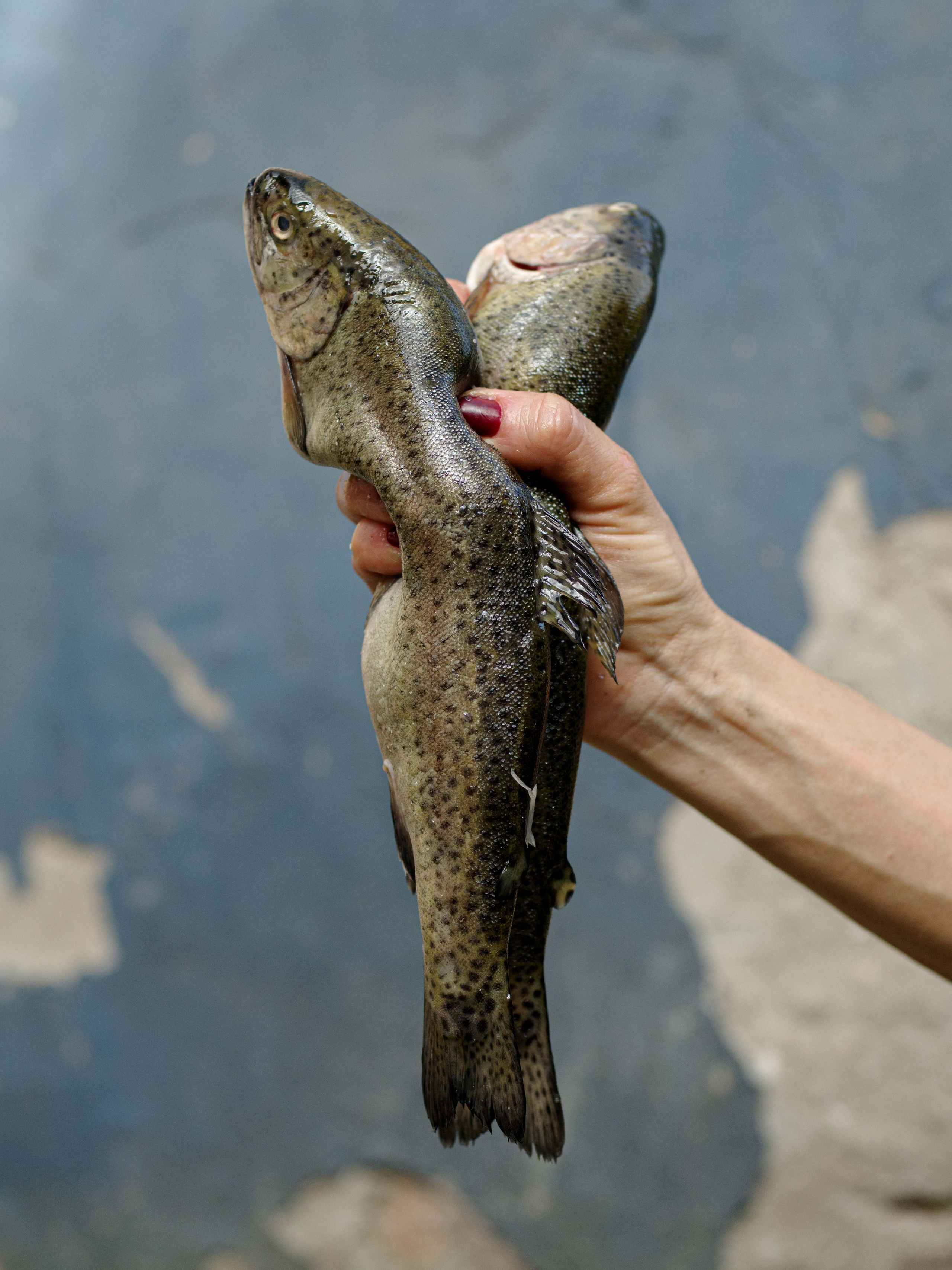 Antropocen (ongoing). Photographer, Documentary and Art