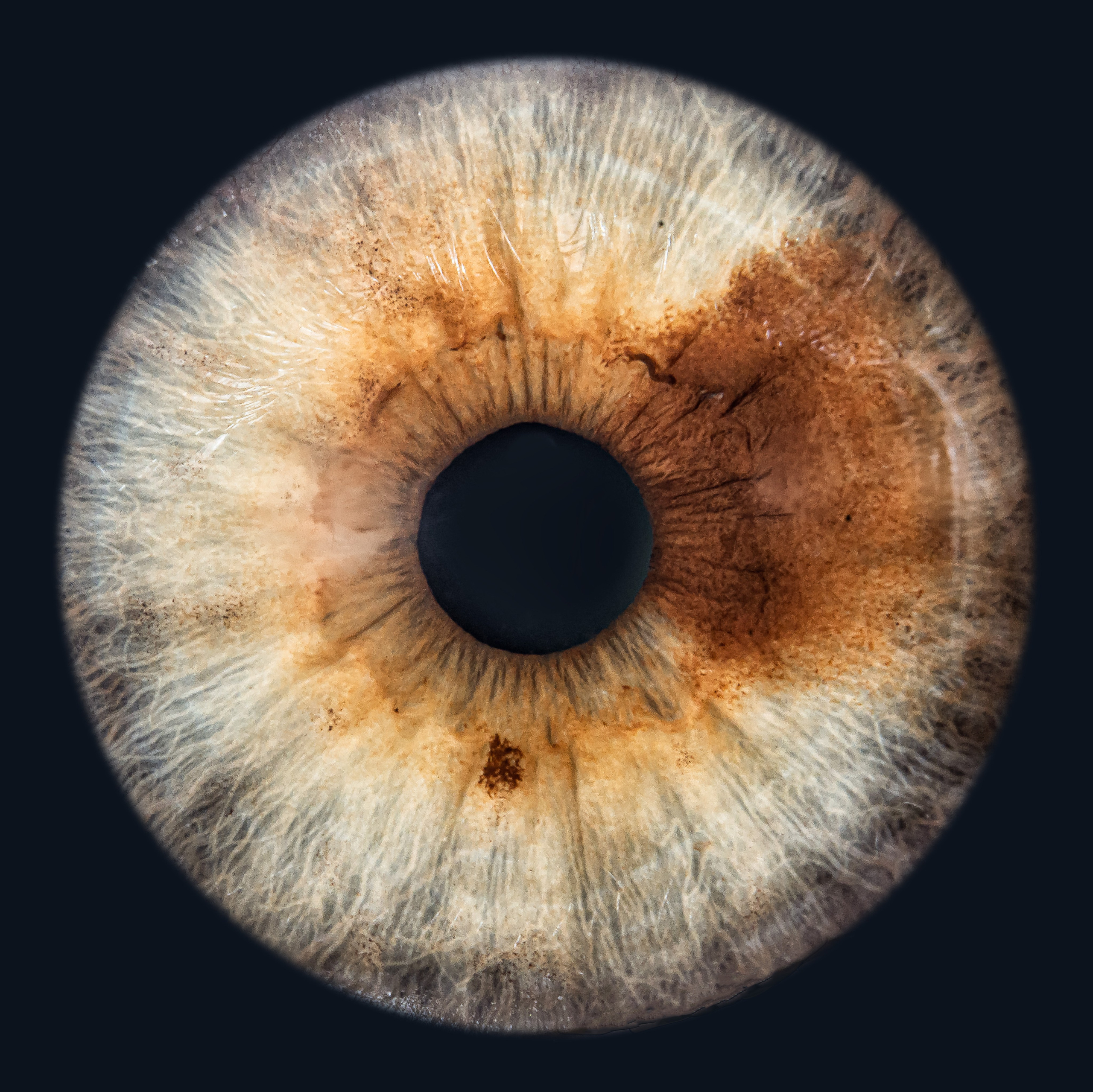 Лучшая фотография радужки глаза в Ростове. Профессиональная фотосъемка. Ростов-на-Дону