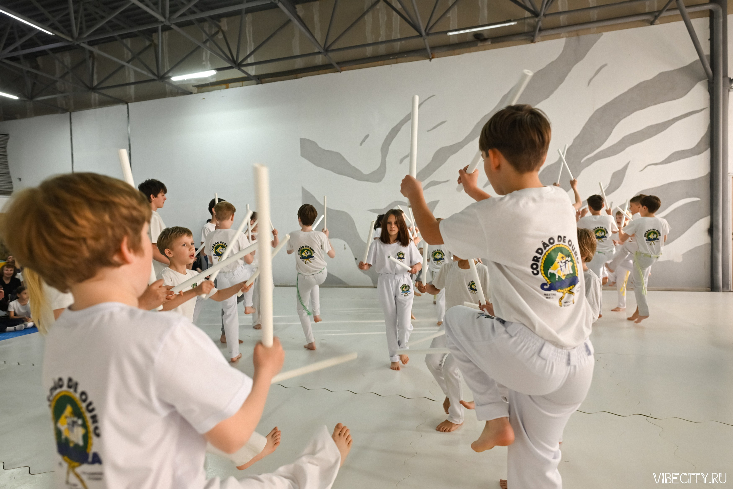 Capoeira: 4-е batizado e Troca de cordao. VIBECITY.RU Вайб Сити Ру Фоторепортажи Фотоотчеты Калининград
