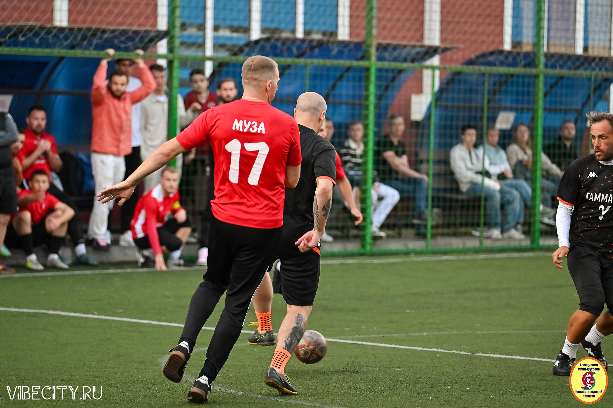 ИГРЫ МИНИ-ФУТБОЛЬНОЙ И КОРПОРАТИВНОЙ ЛИГИ. VIBECITY.RU Вайб Сити Ру Фоторепортажи Фотоотчеты Калининград