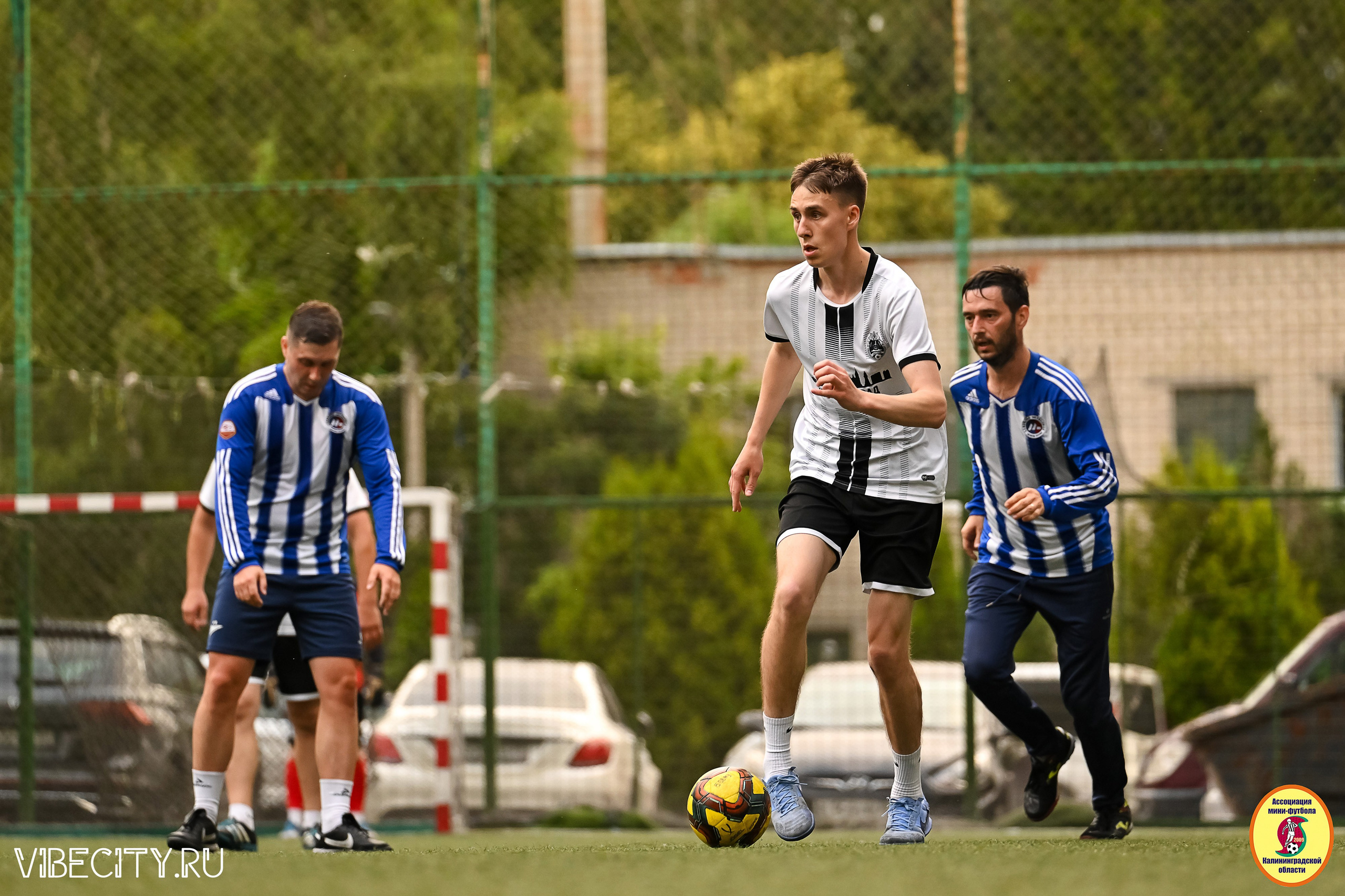 ИГРЫ МИНИ-ФУТБОЛЬНОЙ И КОРПОРАТИВНОЙ ЛИГИ. VIBECITY.RU Вайб Сити Ру Фоторепортажи Фотоотчеты Калининград