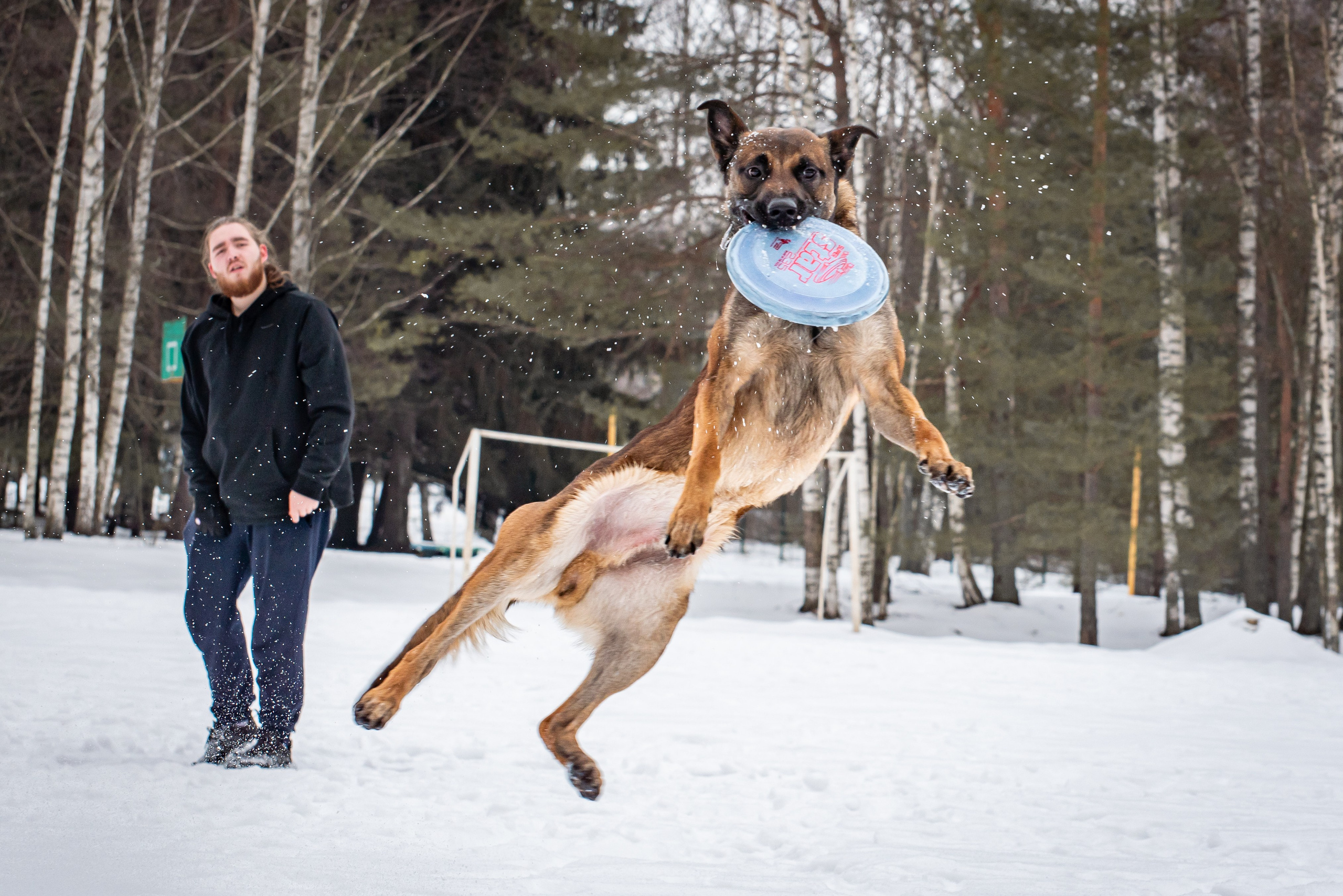 Фотосессии в кинологическом лагере. Фотограф Макс Огурцов в Нижнем Новгороде