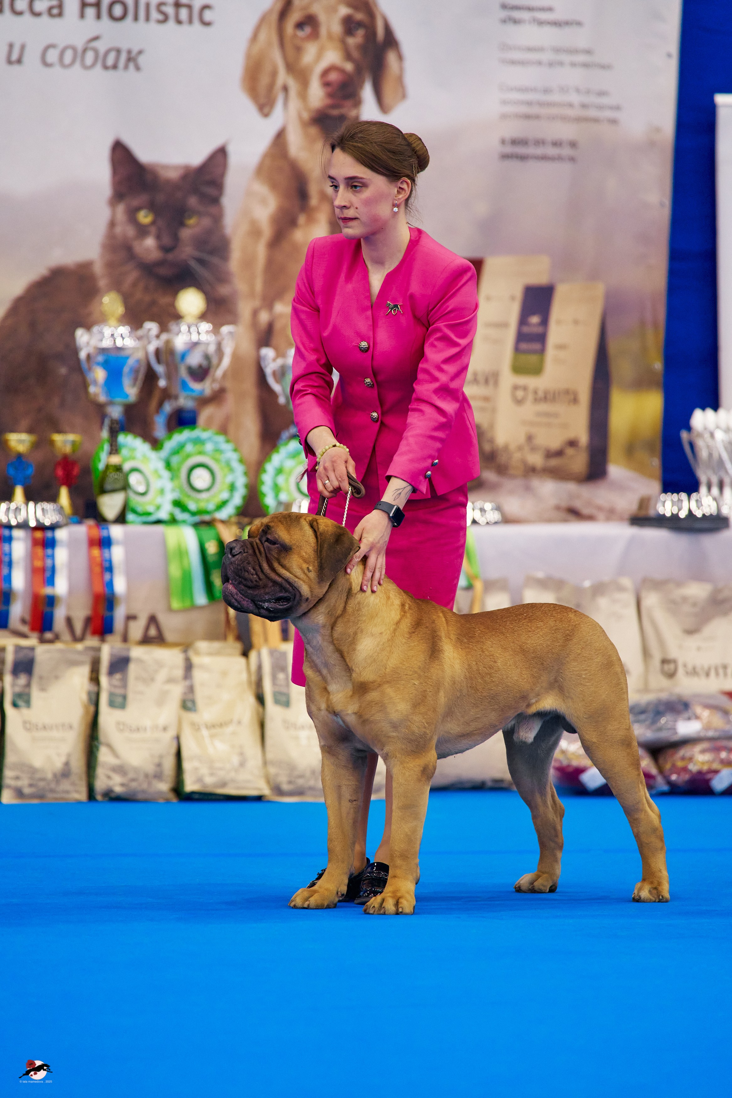 ГРАН ПРИ «ВЕСЕННИЙ ПЕТЕРБУРГ» & «СУПЕР КУБОК «ЭЛИТЫ»-2025»
