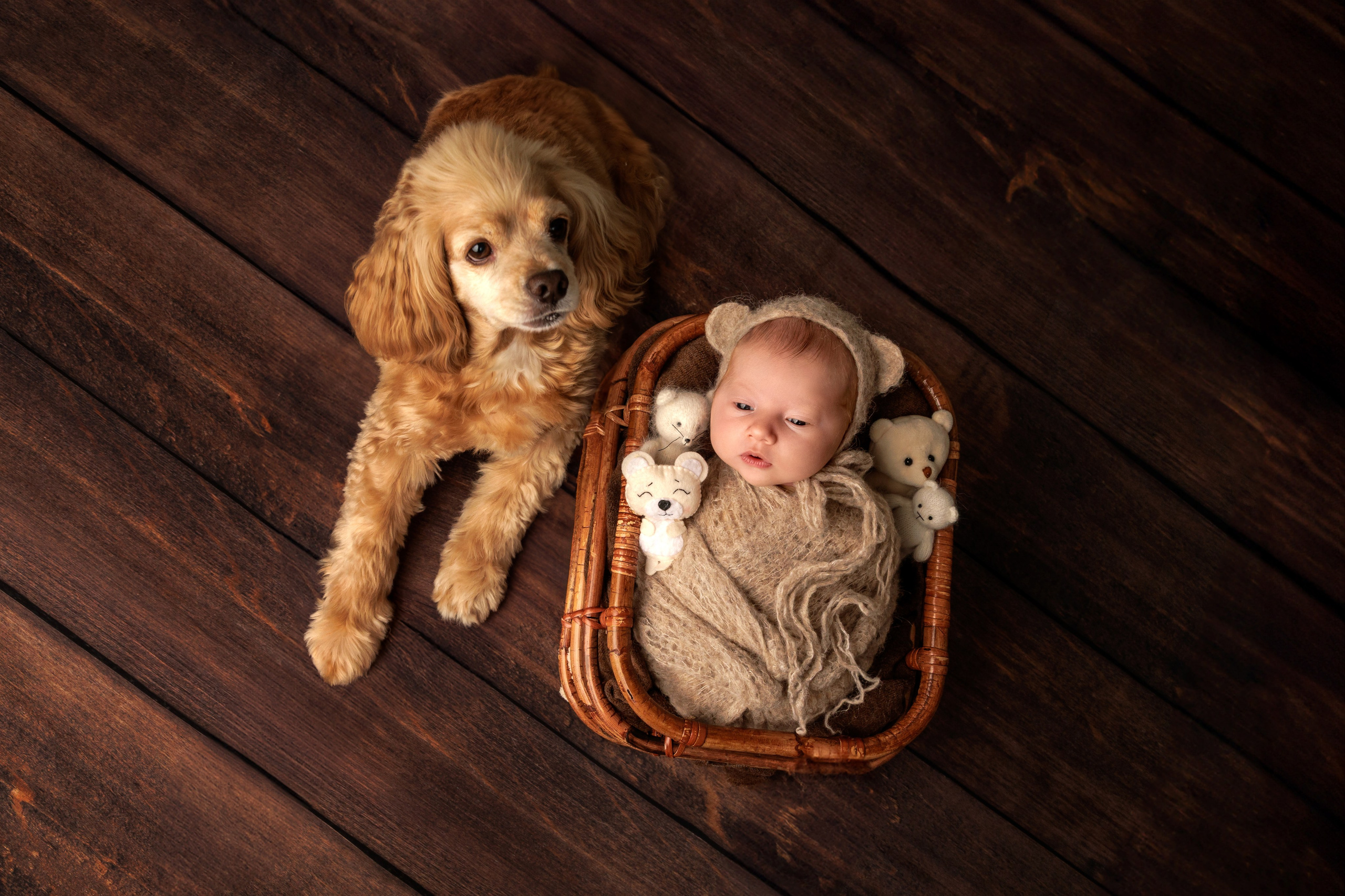 Newborn фотосессия новорожденного Екатеринбург Екатерина Забелина. ТОПовый фотограф беременных Екатеринбург. Фотограф новорожденных малышей Екатеринбург