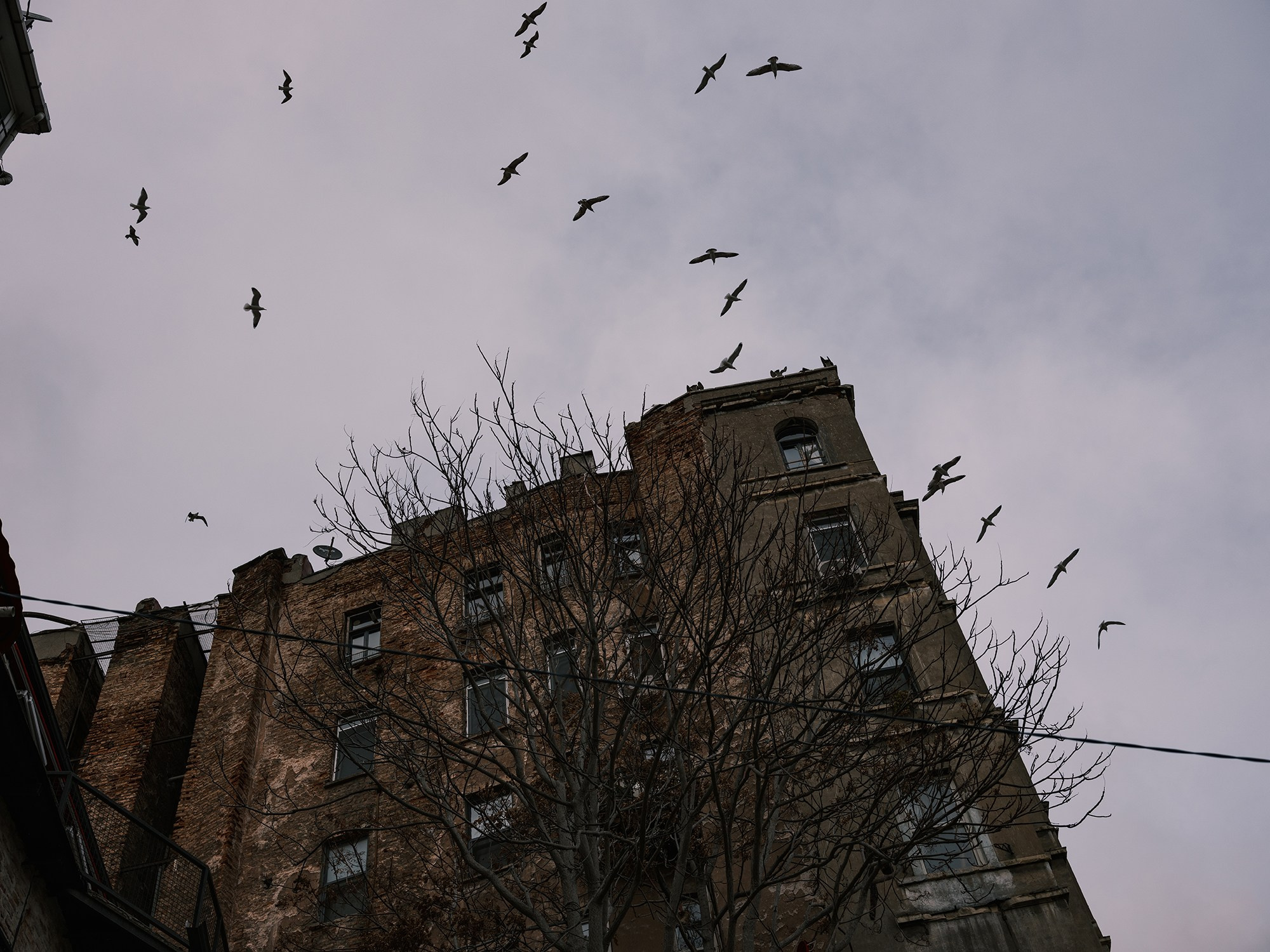 The City. Istanbul. Documentary and art photographer Alexey Terentyev