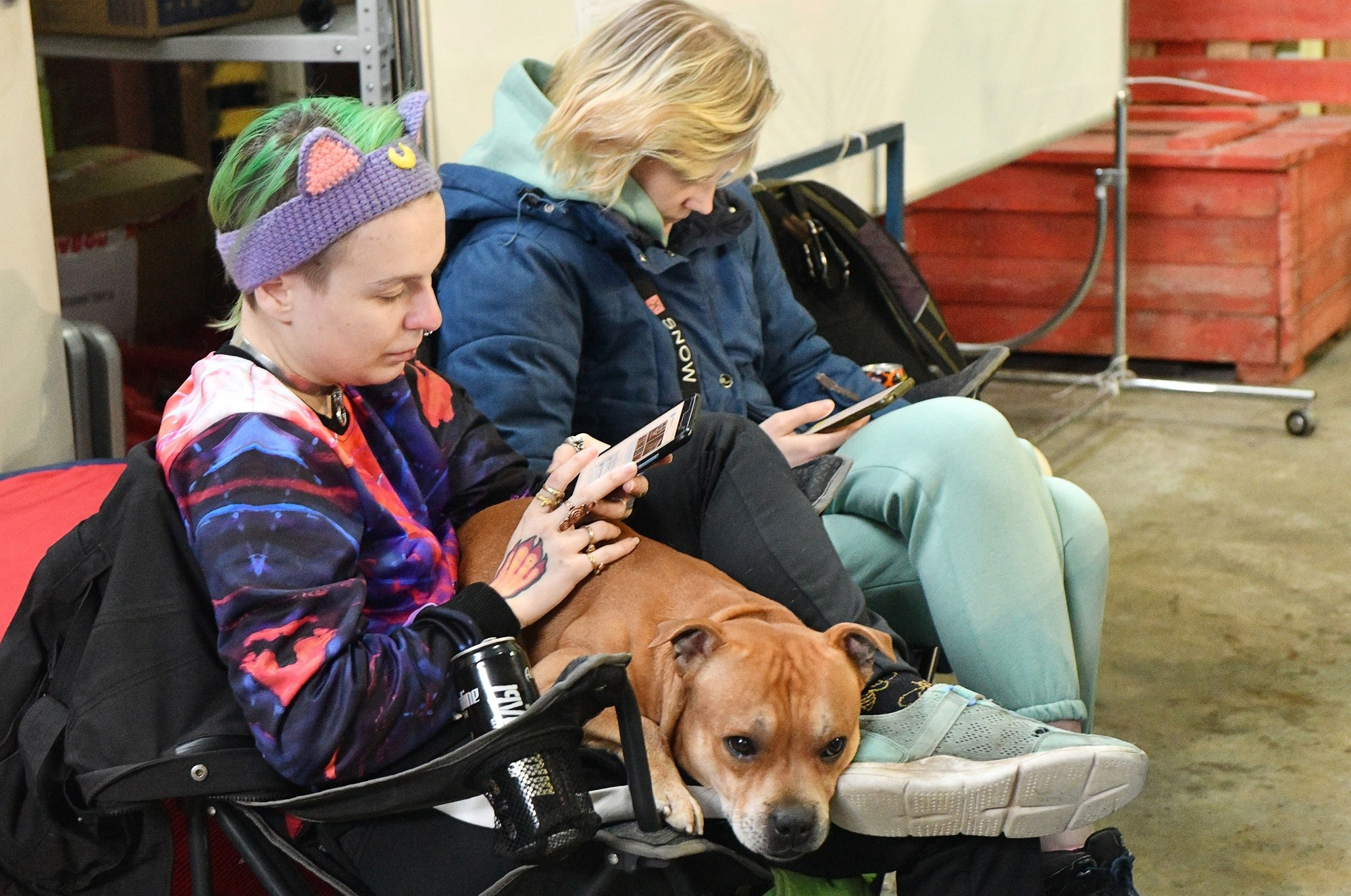 О нас. BLGKV питомник собак