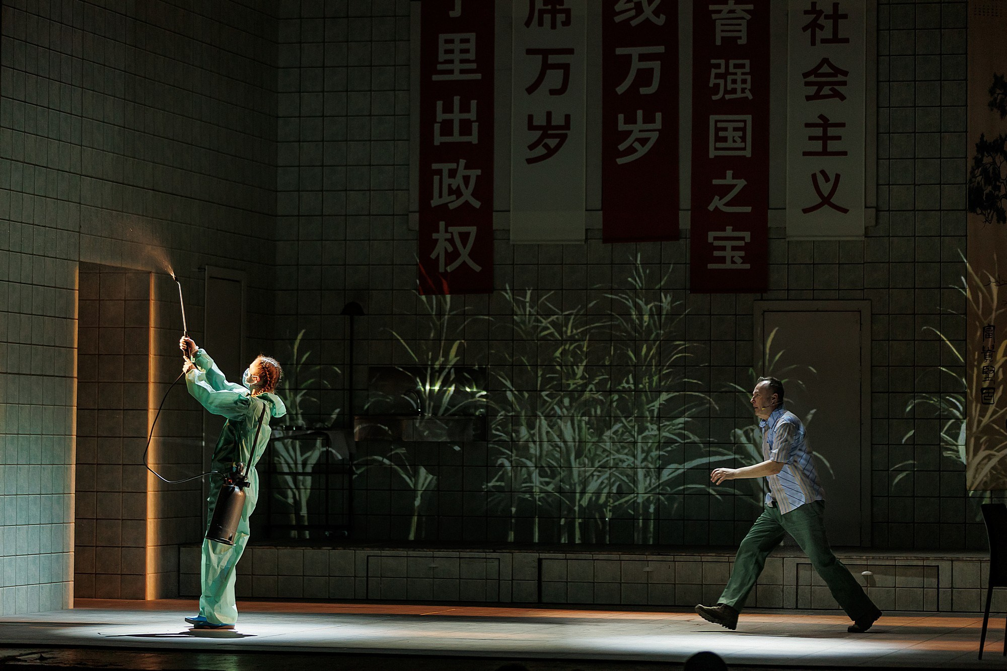 Лягушки. Боченков Вадим | Фотограф в Пскове и Санкт-Петербурге