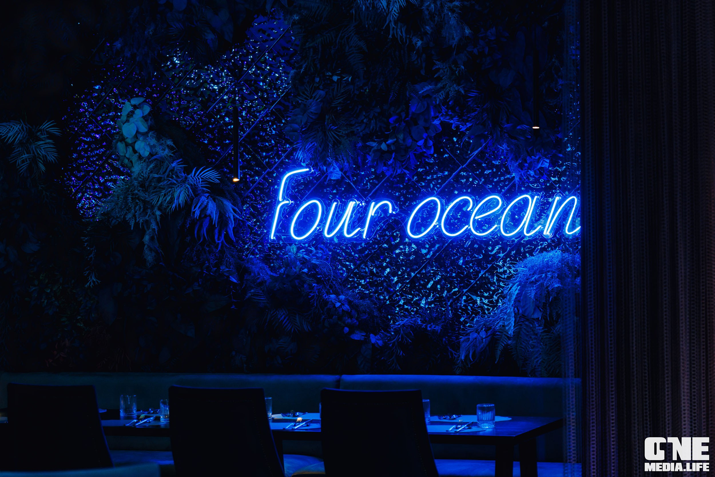 Фоторепортаж из ресторана Океан. One Media Life: фоторепортажи, фотоотчеты с мероприятий и заведений