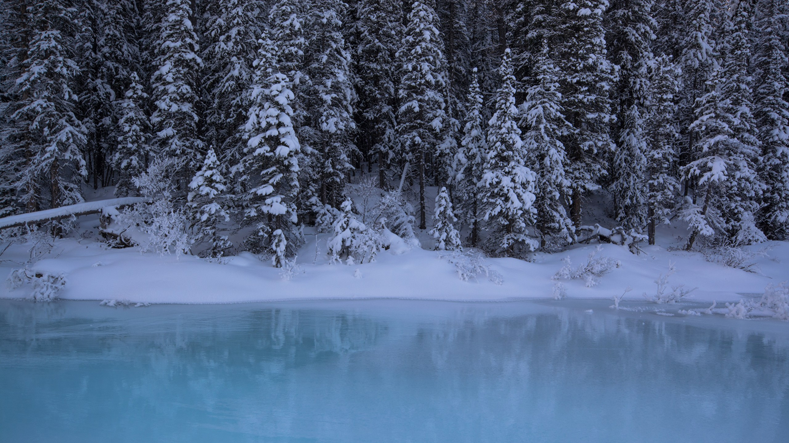 Глэмпинг. Аренда дома для отдыха в Брянске. Банный чан, зона BBQ. Дом на озере в Брянске. Отдых Брянск