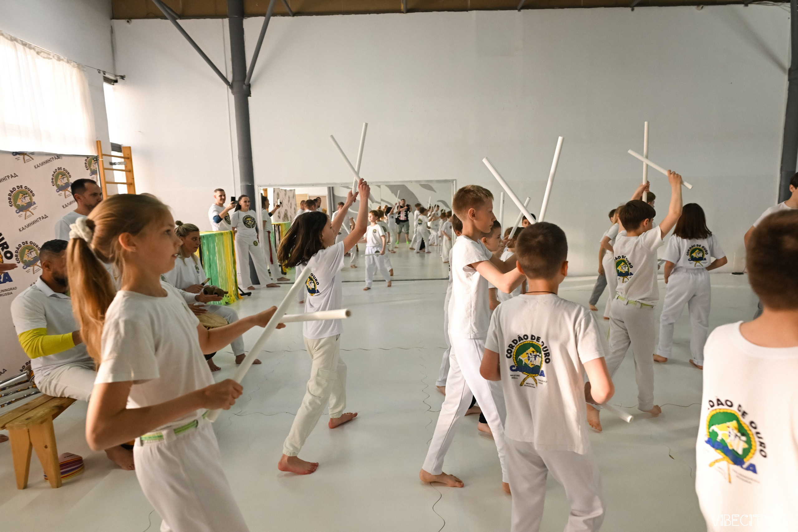Capoeira: 4-е batizado e Troca de cordao. VIBECITY.RU Вайб Сити Ру Фоторепортажи Фотоотчеты Калининград