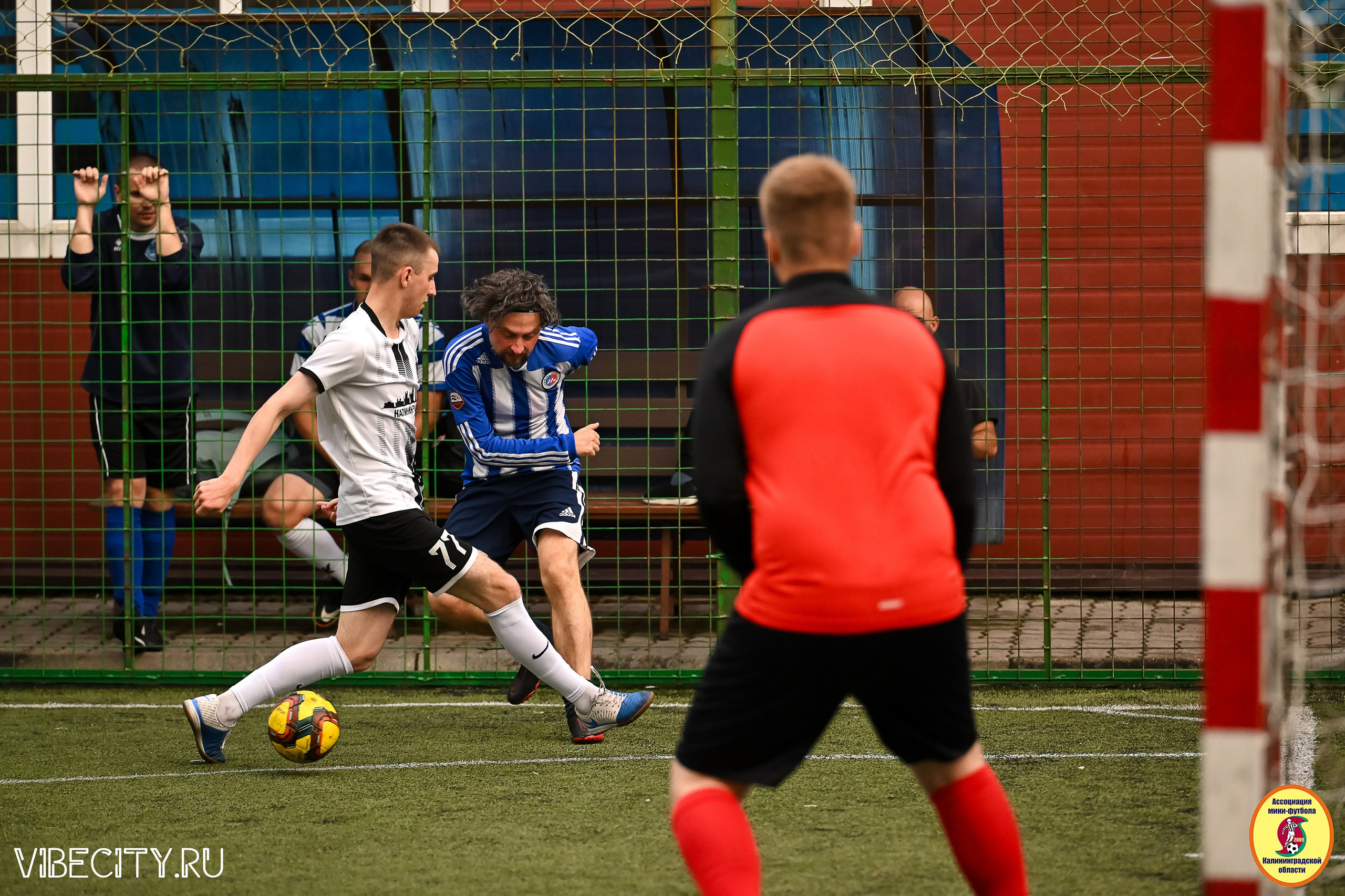 ИГРЫ МИНИ-ФУТБОЛЬНОЙ И КОРПОРАТИВНОЙ ЛИГИ. VIBECITY.RU Вайб Сити Ру Фоторепортажи Фотоотчеты Калининград