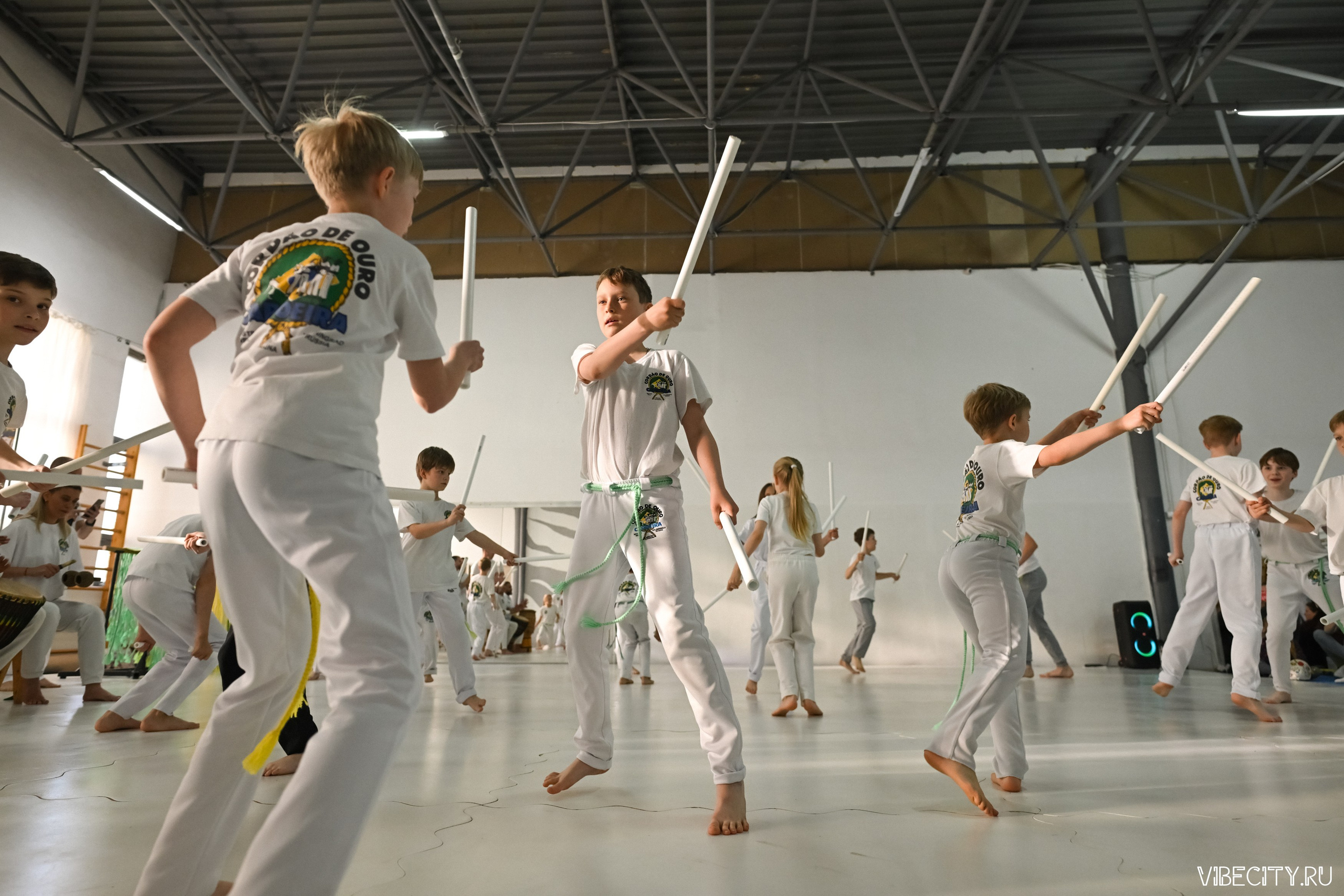 Capoeira: 4-е batizado e Troca de cordao. VIBECITY.RU Вайб Сити Ру Фоторепортажи Фотоотчеты Калининград