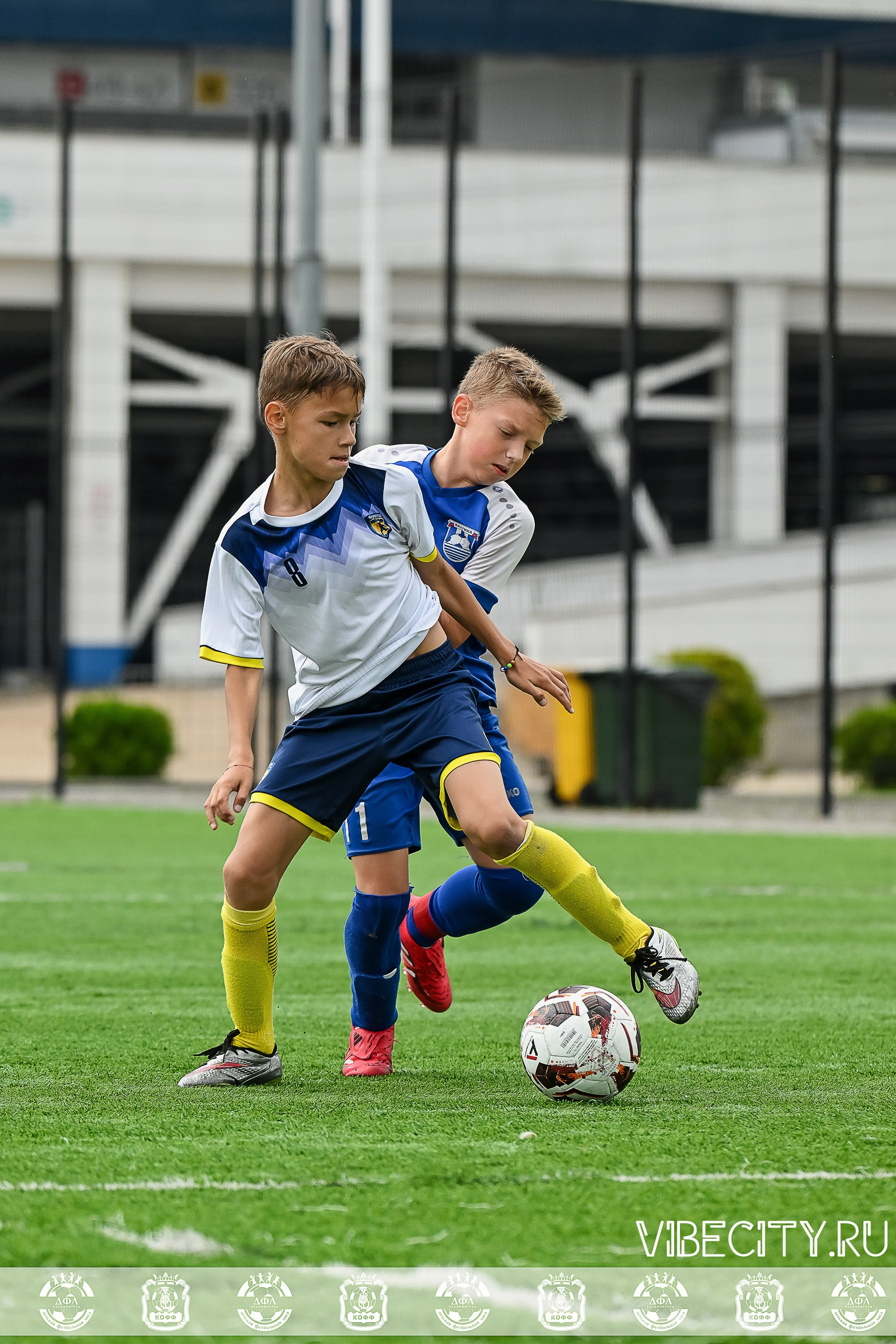 Калининградская Детская Футбольная Лига. VIBECITY.RU Вайб Сити Ру Фоторепортажи Фотоотчеты Калининград