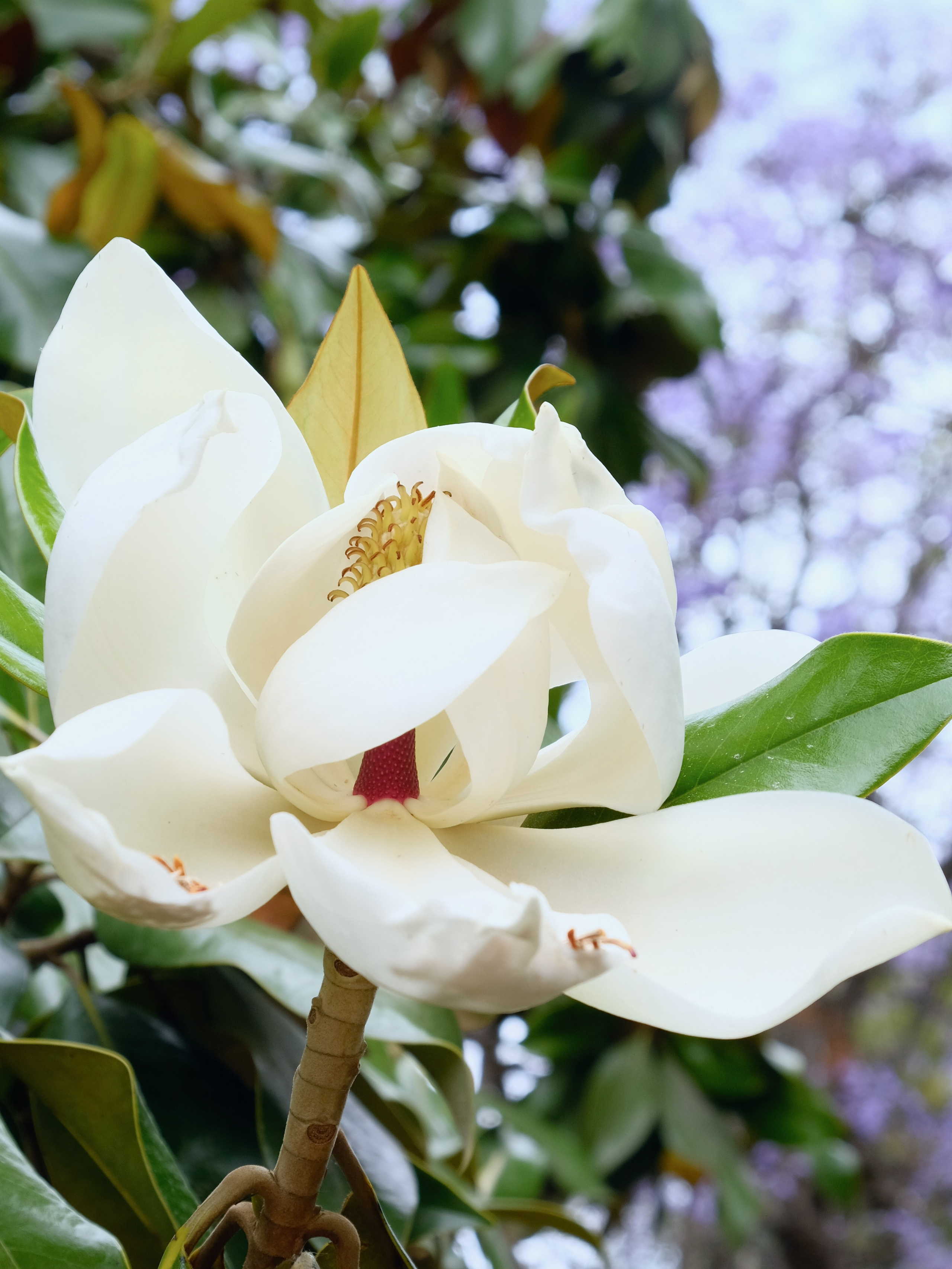Парки Валенсии. Гид и фотограф в Валенсии Новиков Михаил
