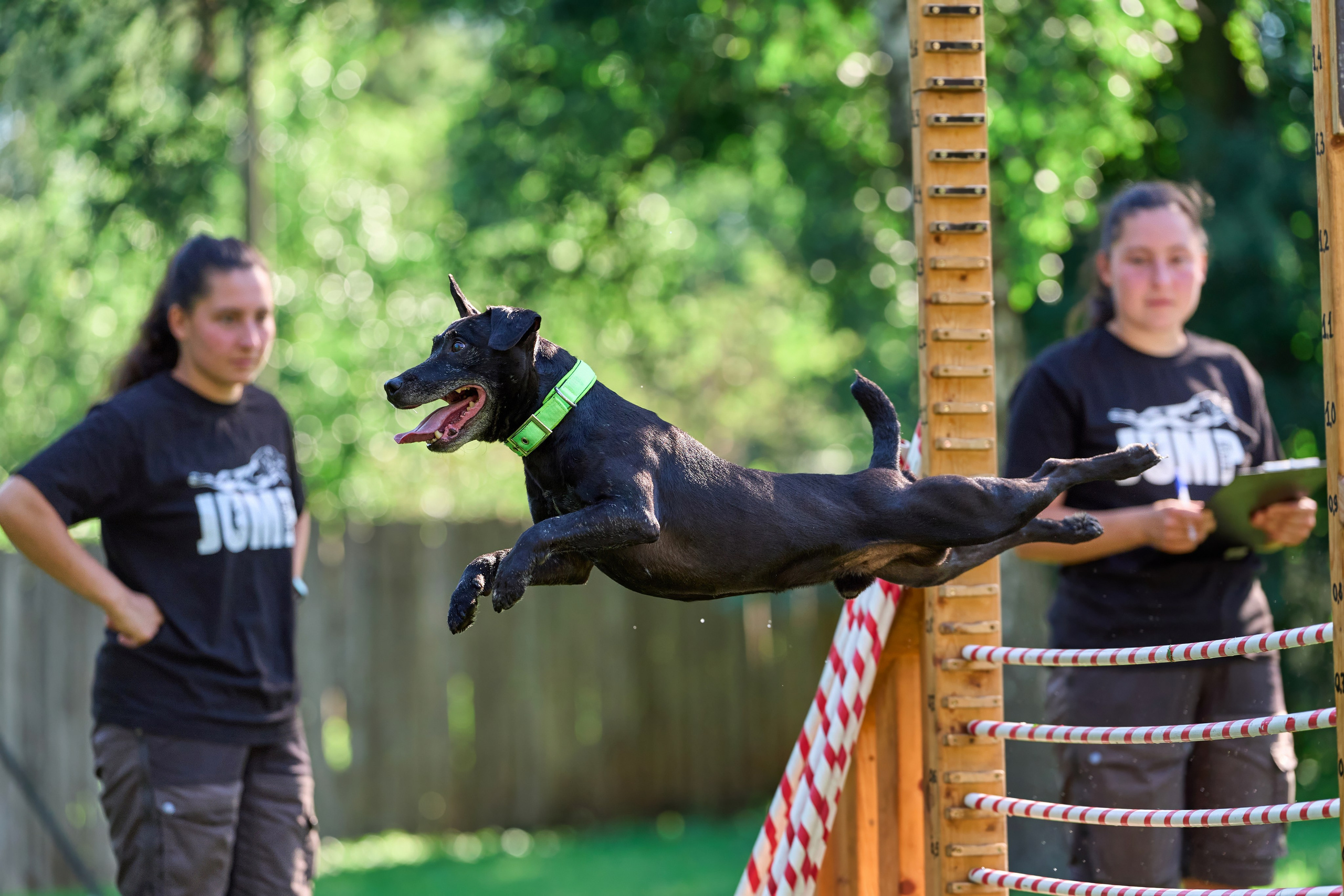 Двухдневные соревнования «Jump'n'Gym Fest — 2024». Фотограф-анималист Михаил Манухин