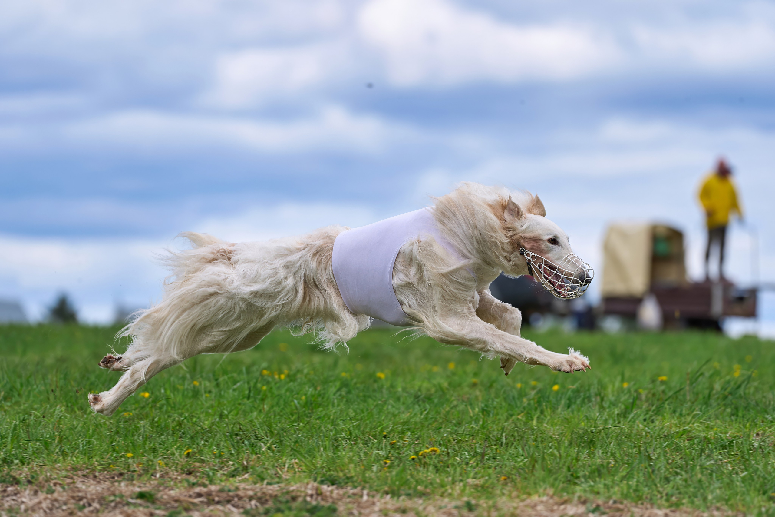 ПЧРКФ по курсингу. Фотограф-анималист Михаил Манухин