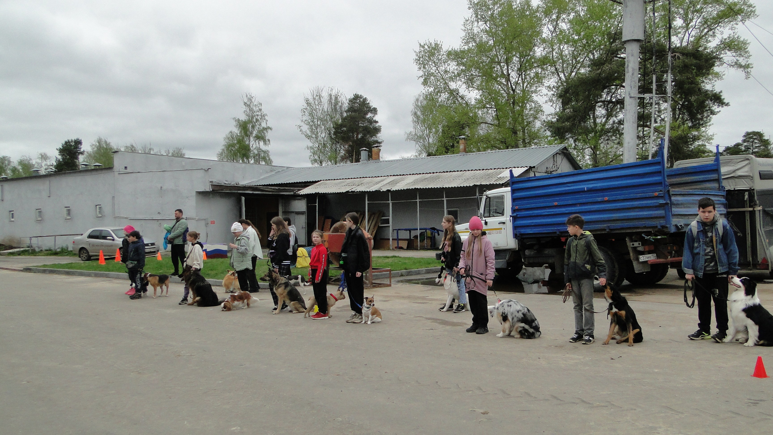 Кинологические старты. НРОО КЦ "Собаковод"