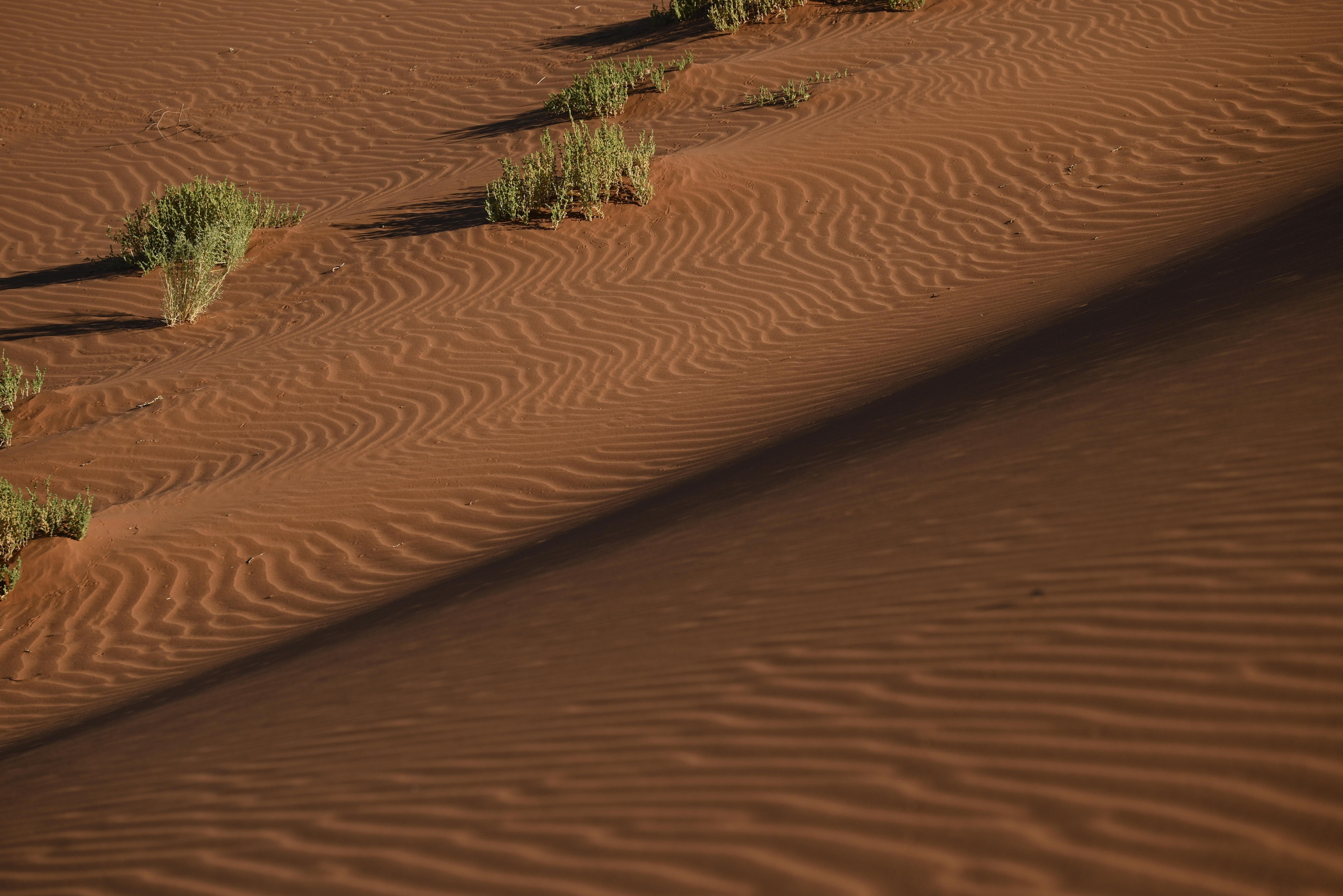 Выставки. Фотограф Дарья Сафонова Dashulkacss