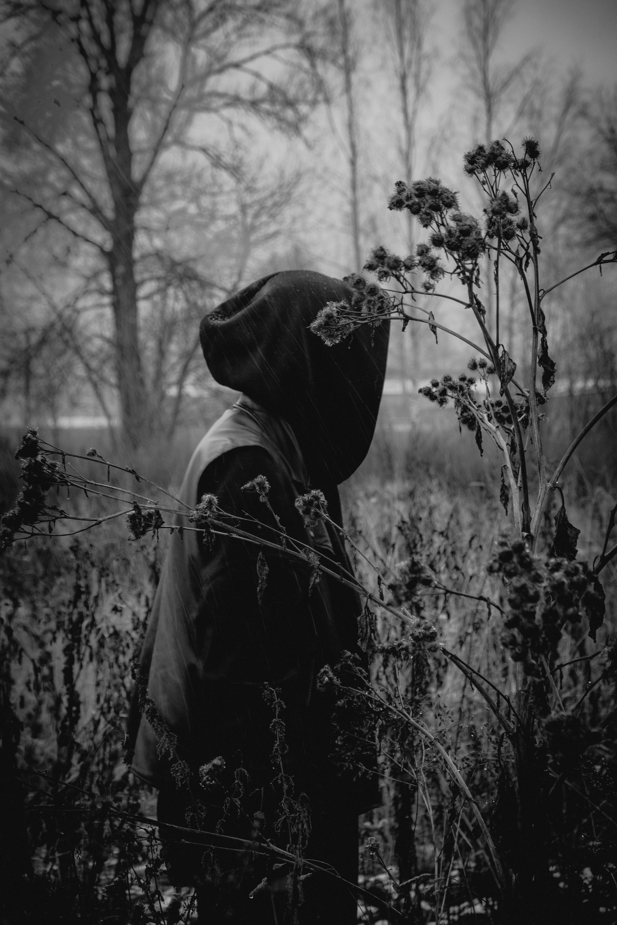 Сертификаты. Портретный и fashion-фотограф в Санкт-Петербурге Олеся Поле