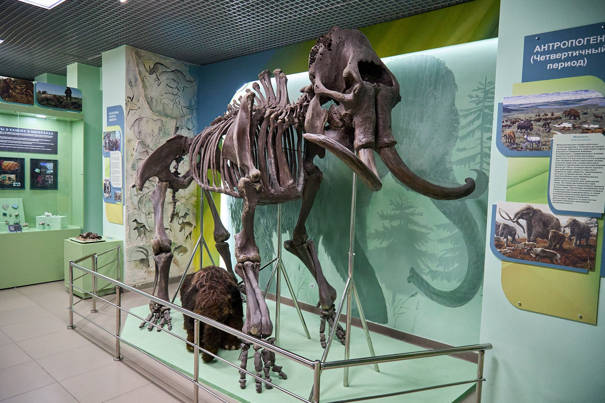 Ночь музеев 2025. Фотограф Омск | Александр Вандеров