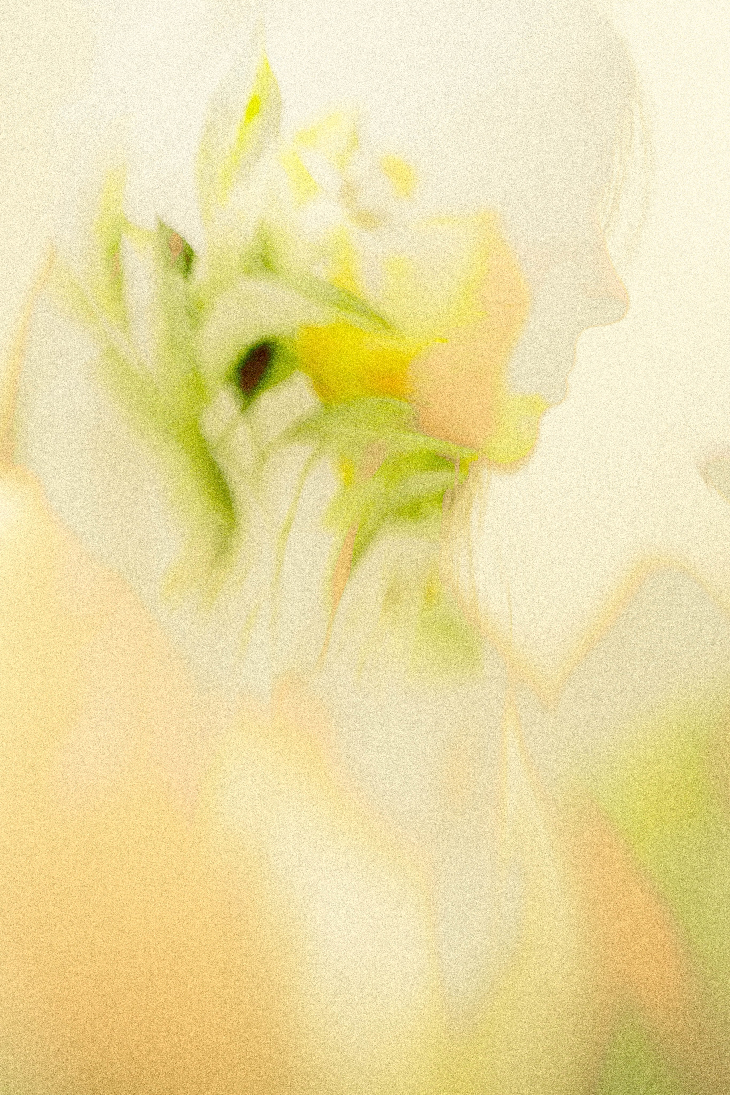 АННА ВЕРСО / ANNA VERSO | Визуальный художник / Visual artist