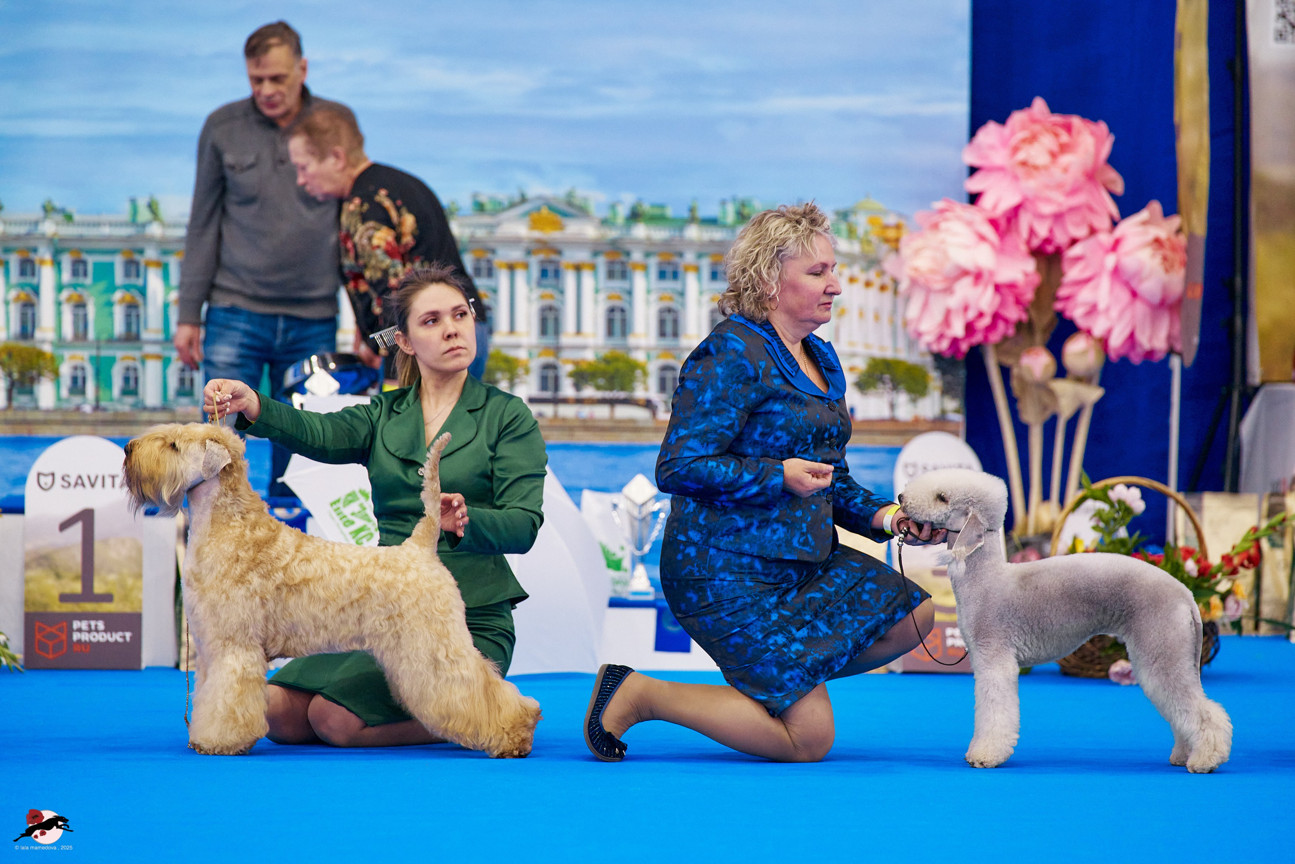 ГРАН ПРИ «ВЕСЕННИЙ ПЕТЕРБУРГ» & «СУПЕР КУБОК «ЭЛИТЫ»-2025»