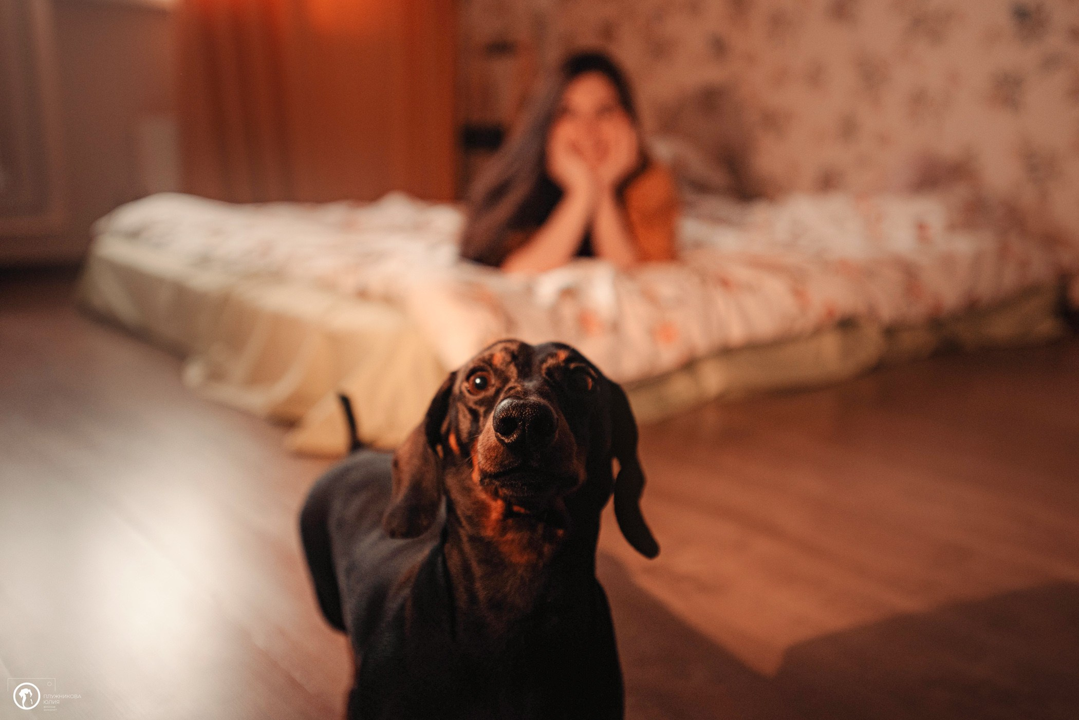 Таня и Грант. Фотограф — анималист Саратов/Москва|Плужникова Юлия