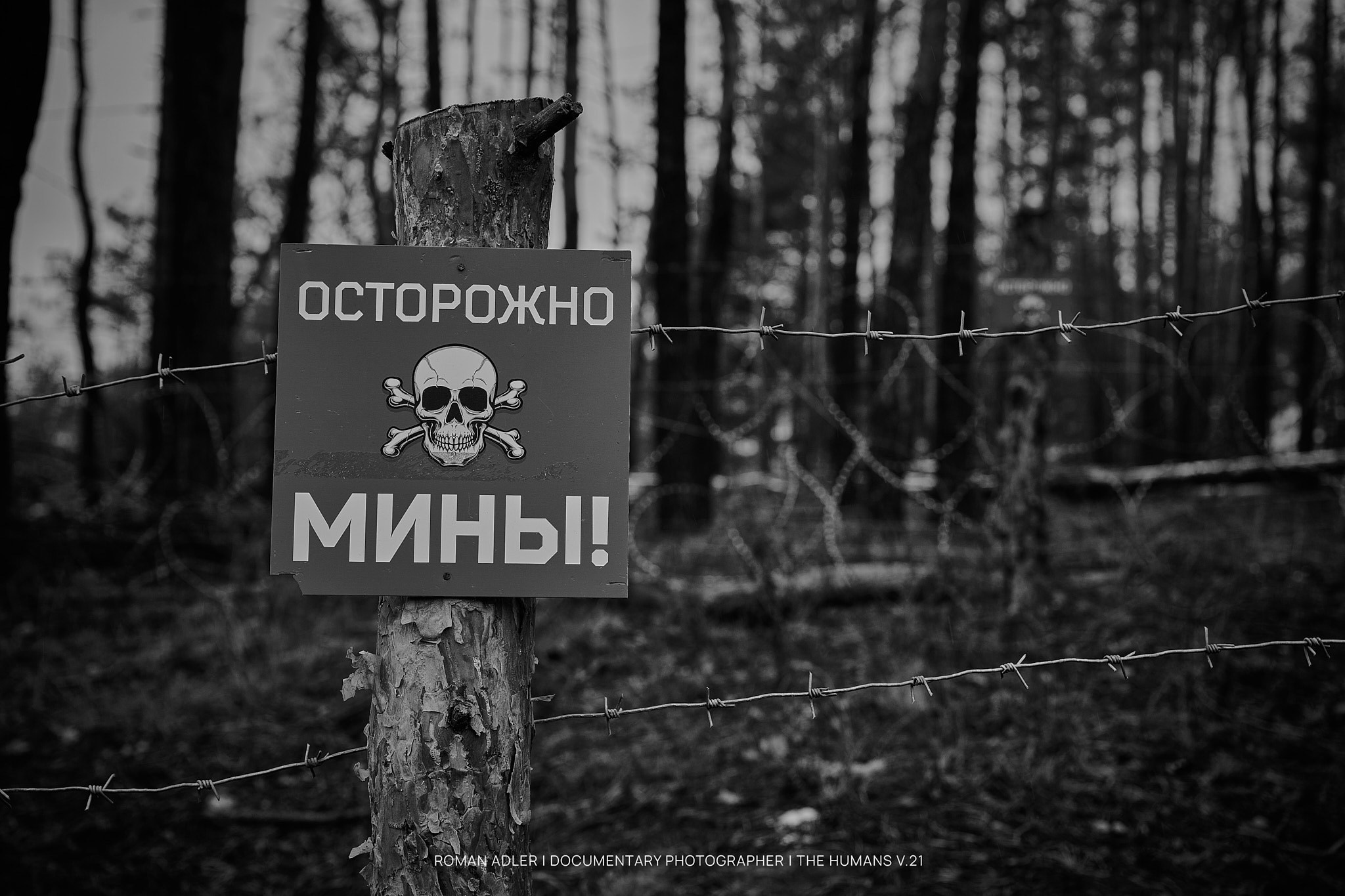 Кодекс взгляда | Роман Адлер — Дневник пути