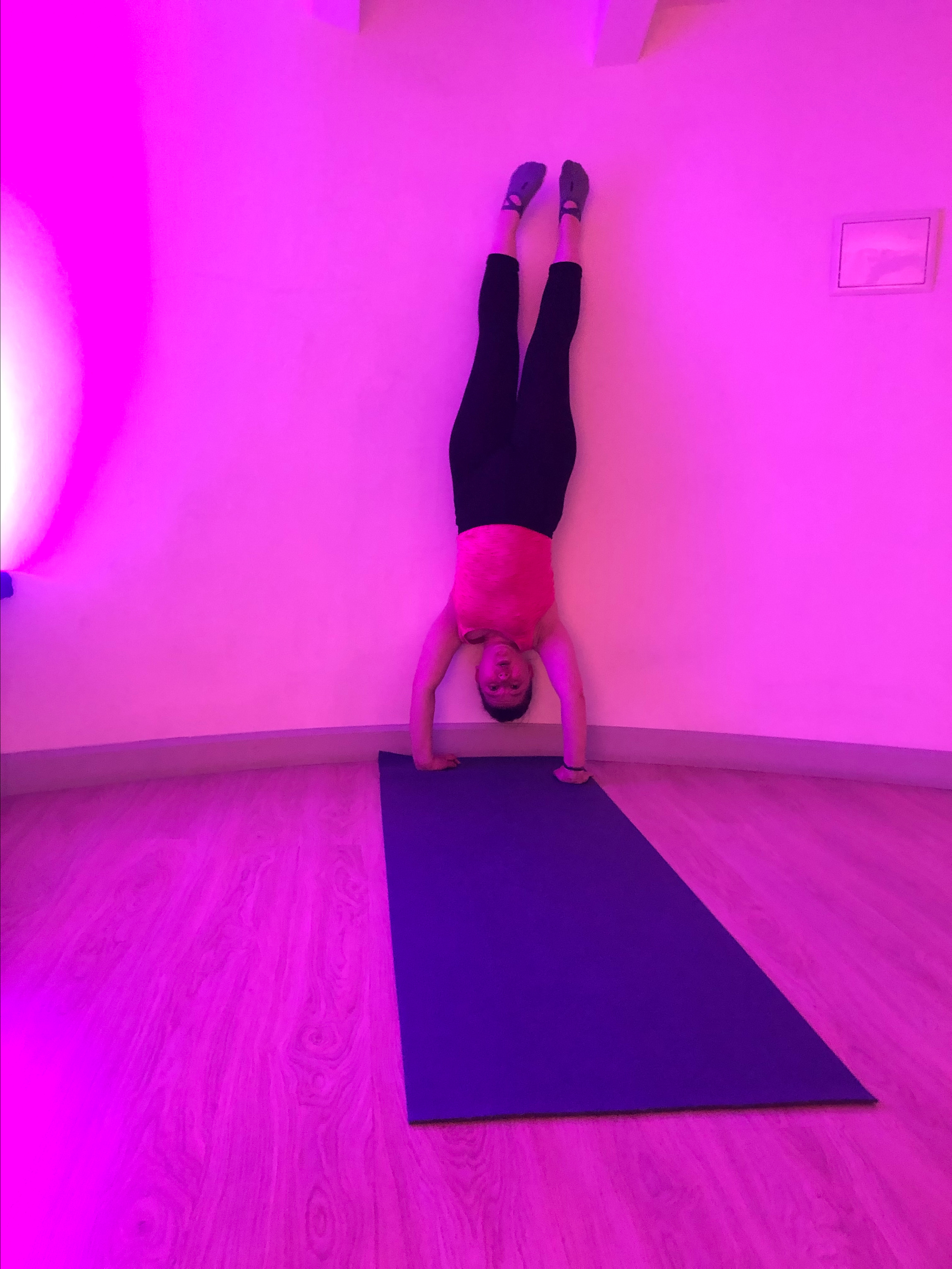FLEX. Яна Мешковская