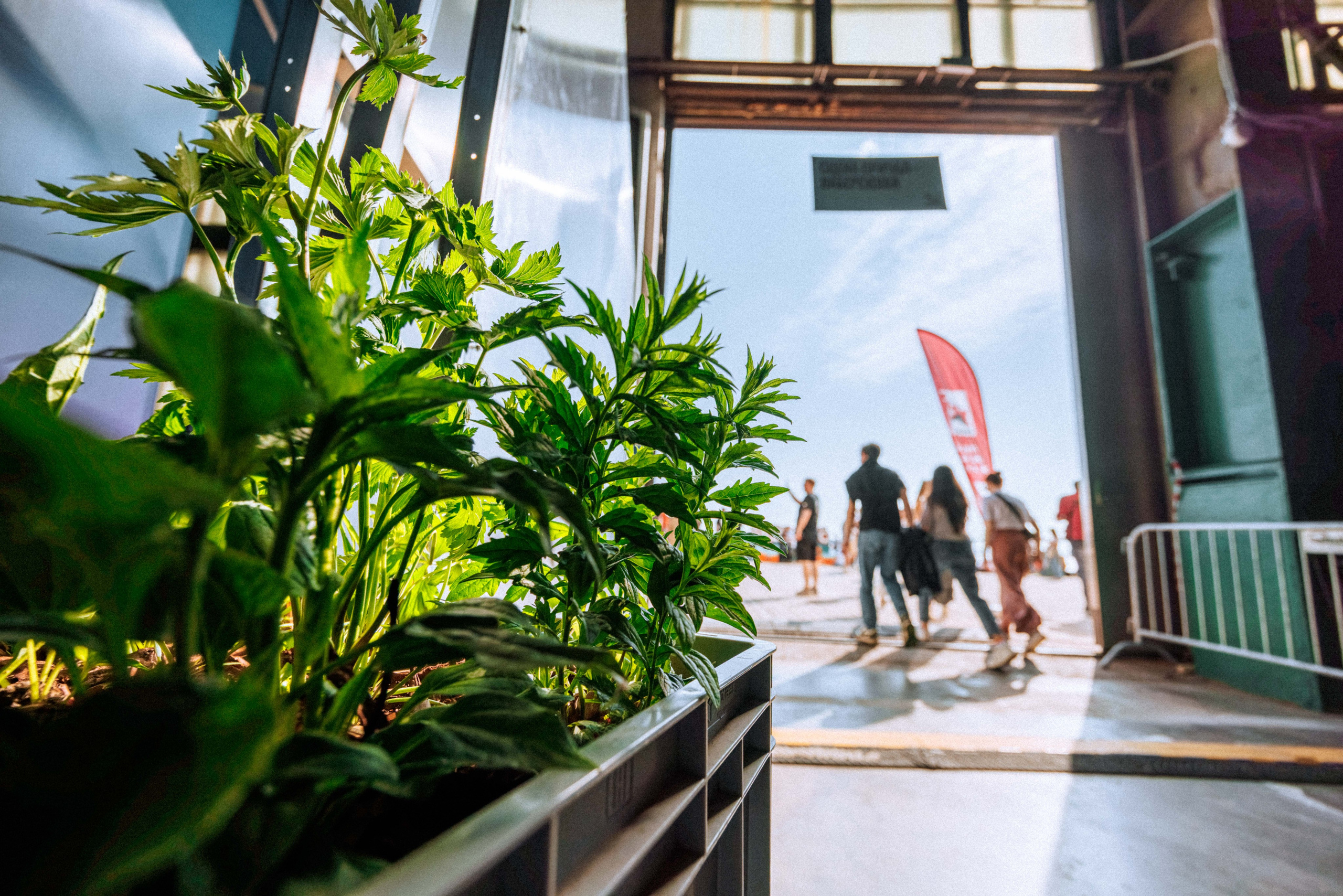 Stereoleto 2025. Фотограф Балаев Михаил