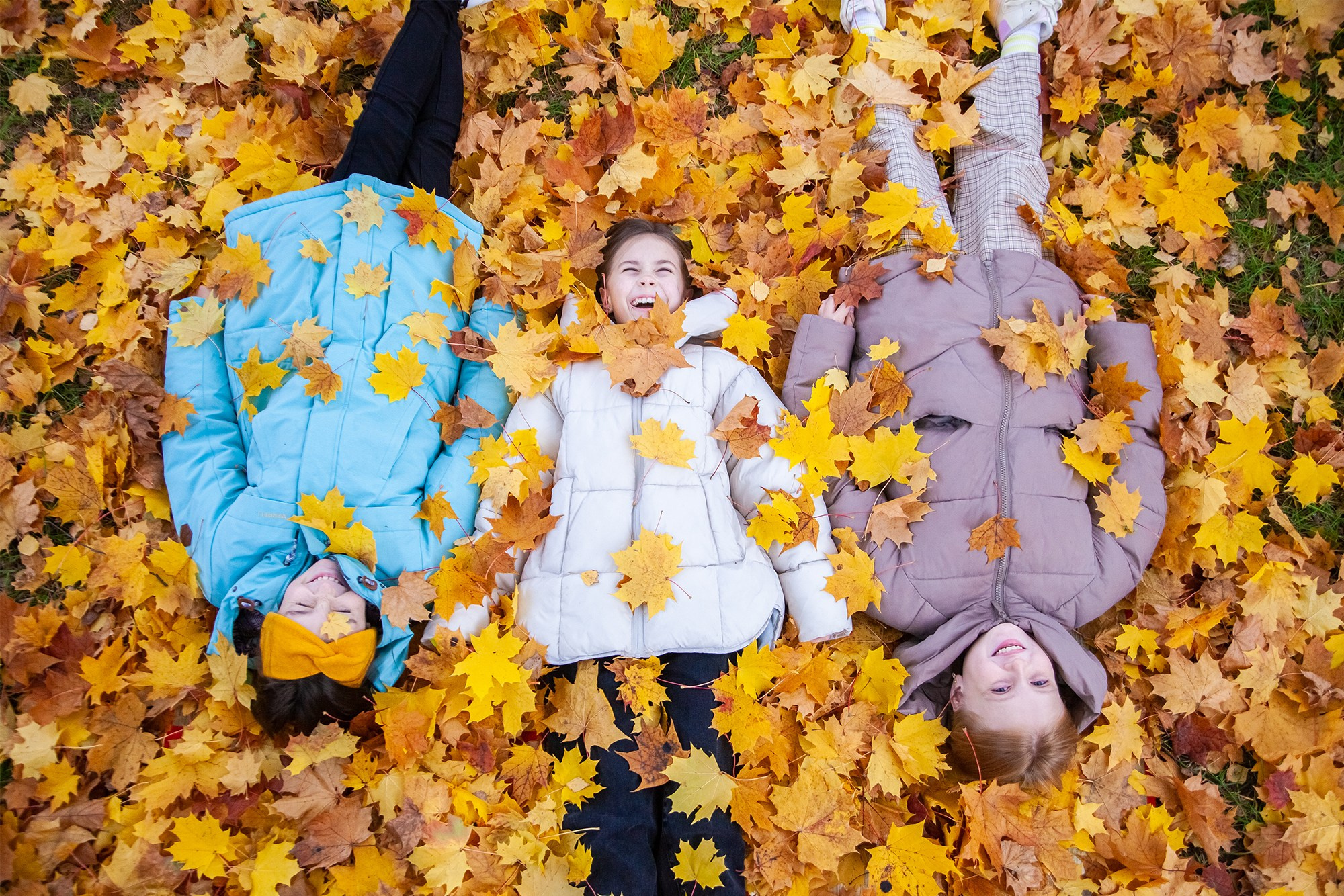 Выпускные альбомы в Москве и подмосковье от Вуколовой Татьяны