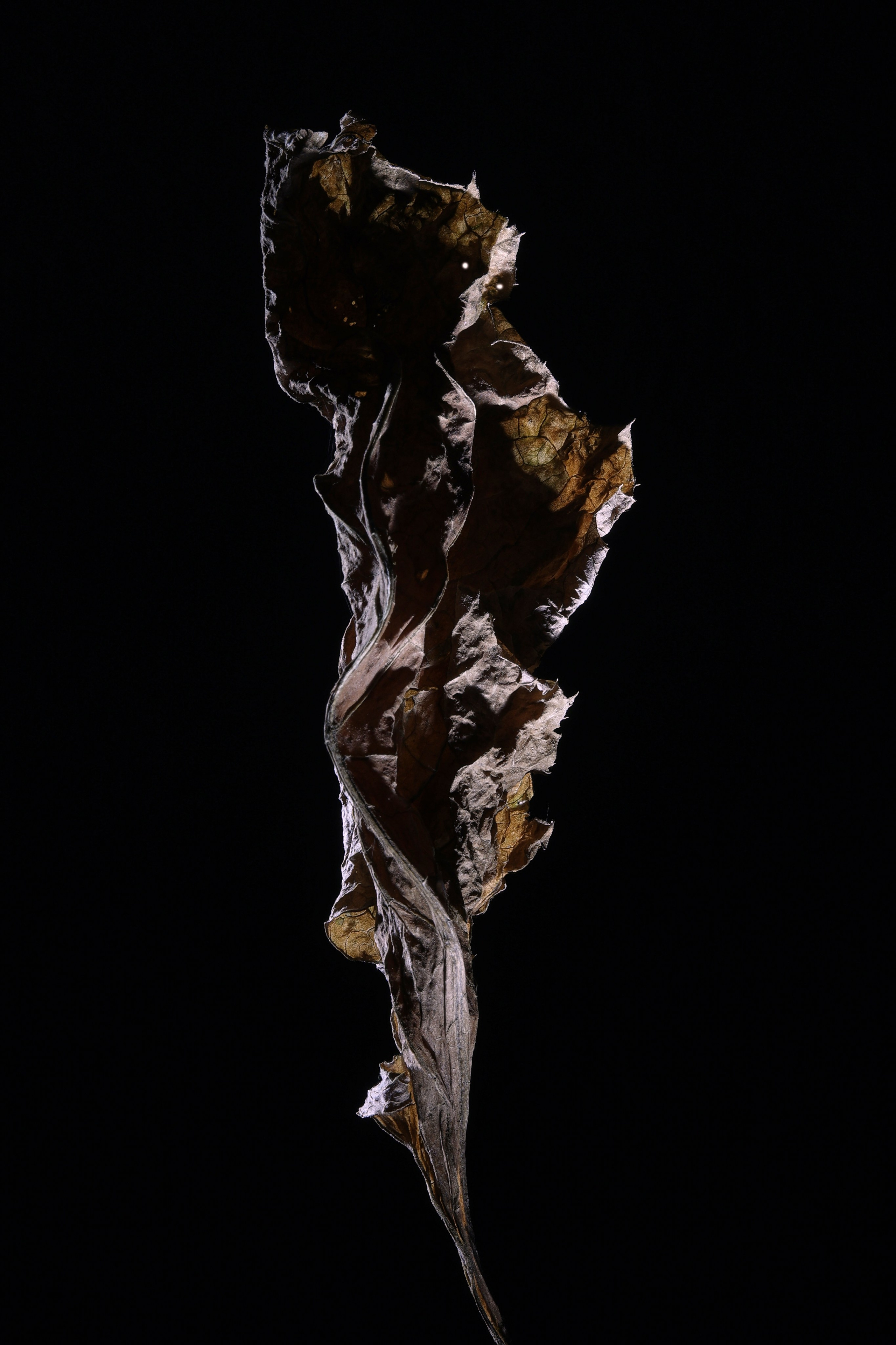 «Тебе кажется…?». Арт-фотограф во Владивостоке Дмитрий Осипчук