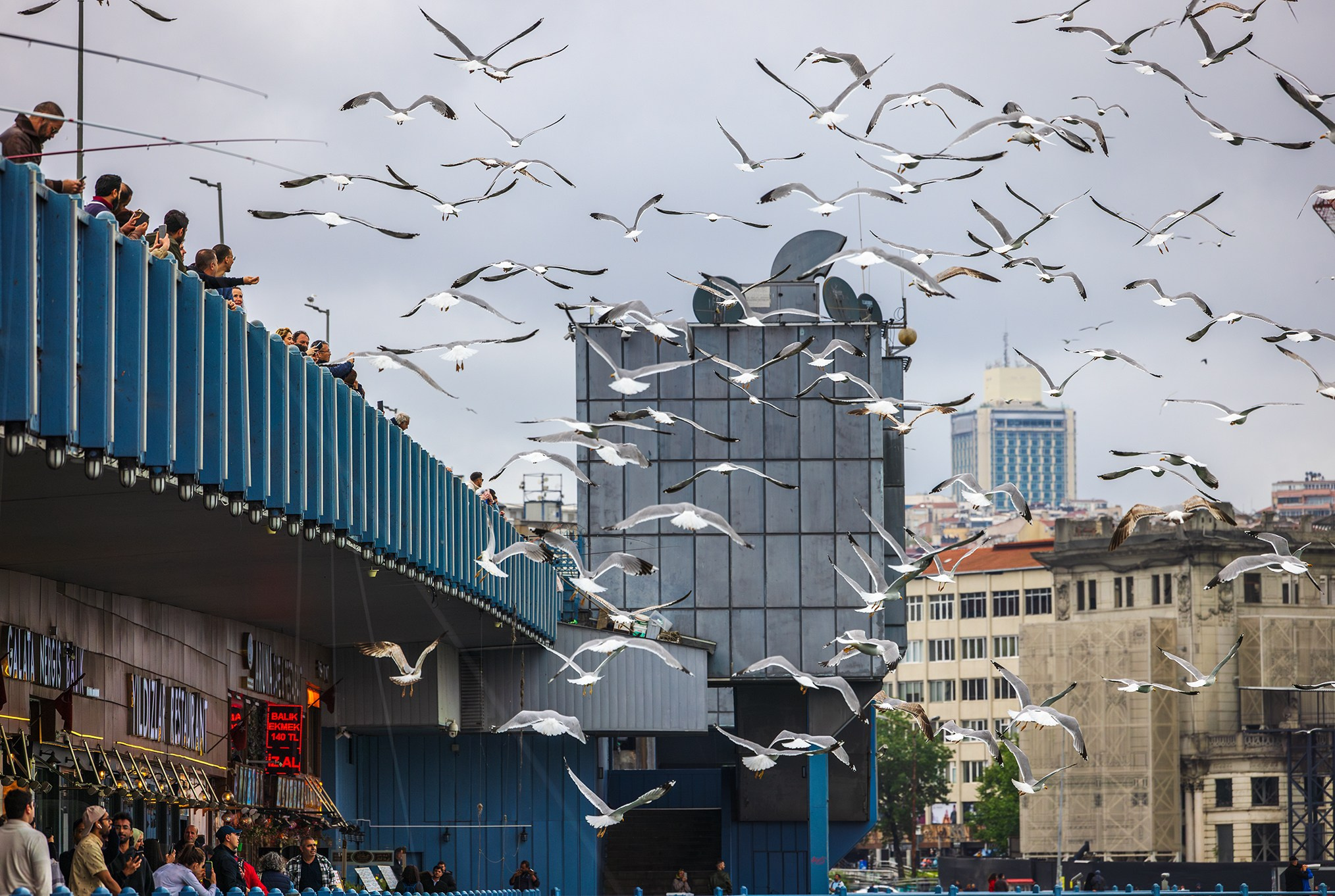 Istanbul. High-quality interior photos for your home, office, hotel