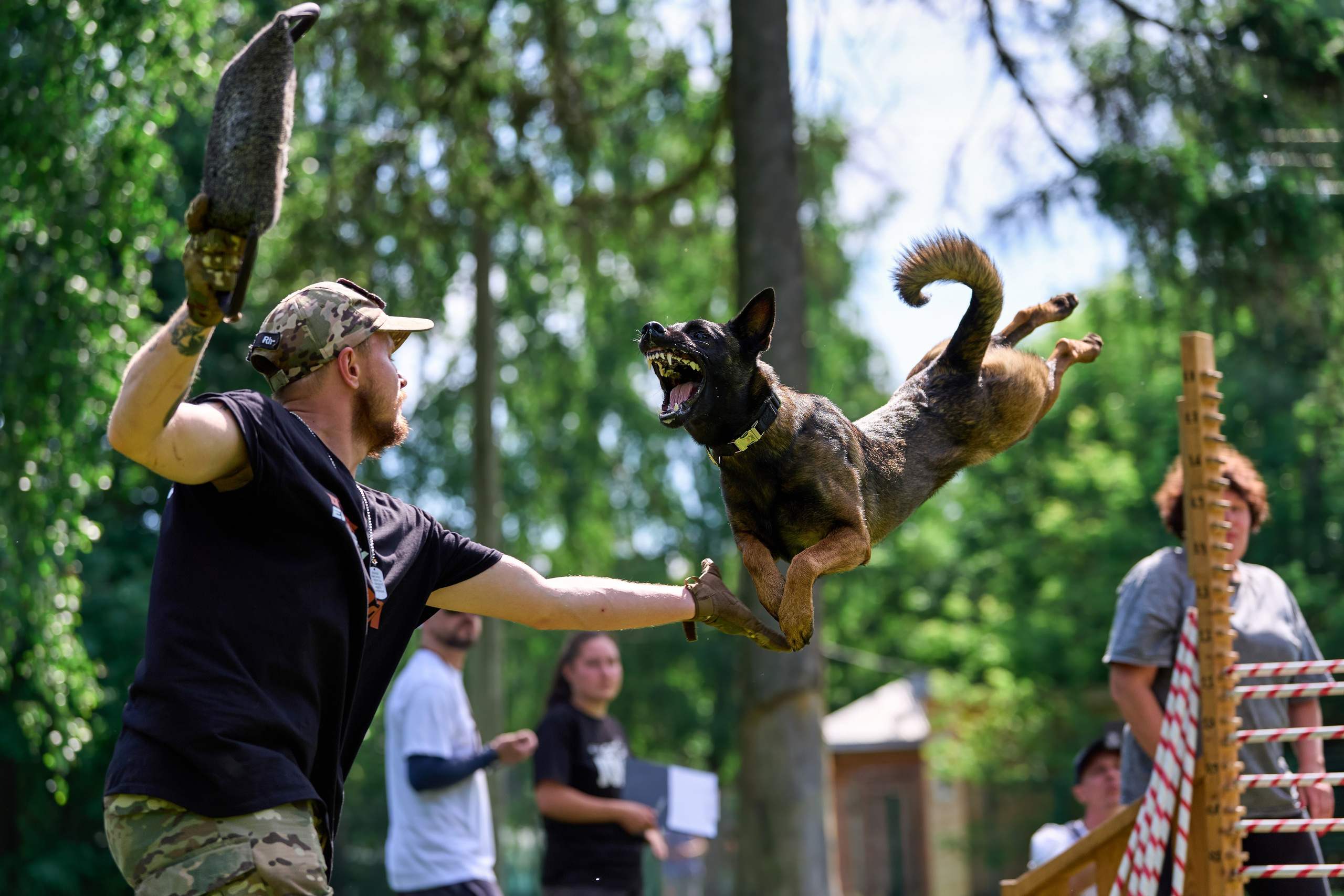 Двухдневные соревнования «Jump'n'Gym Fest — 2024». Фотограф-анималист Михаил Манухин