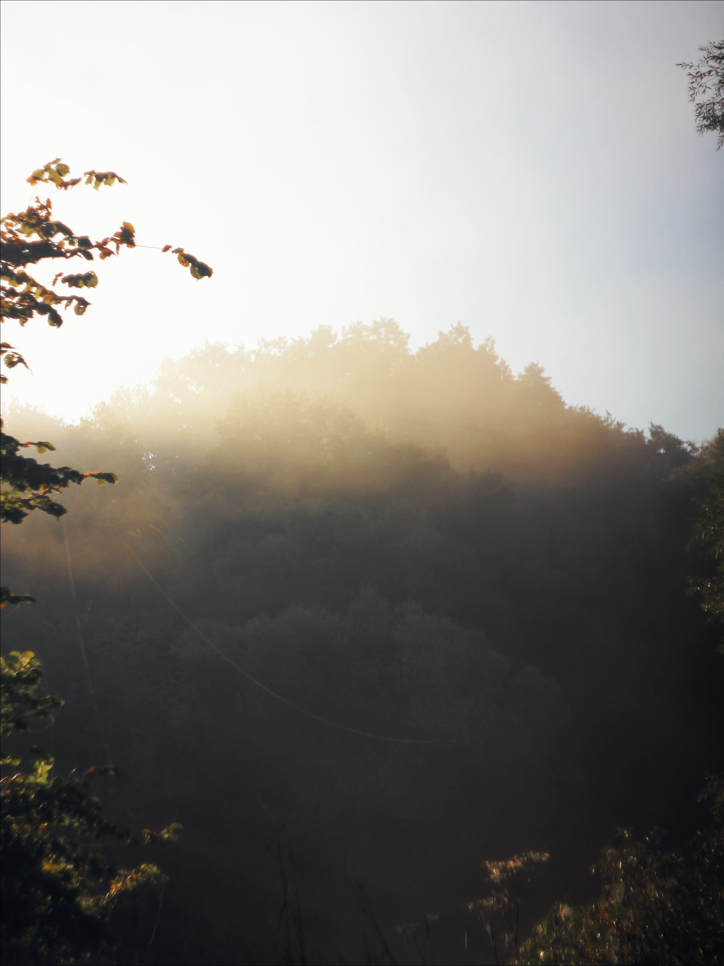 Опустошенность. С любовью, фотохудожник