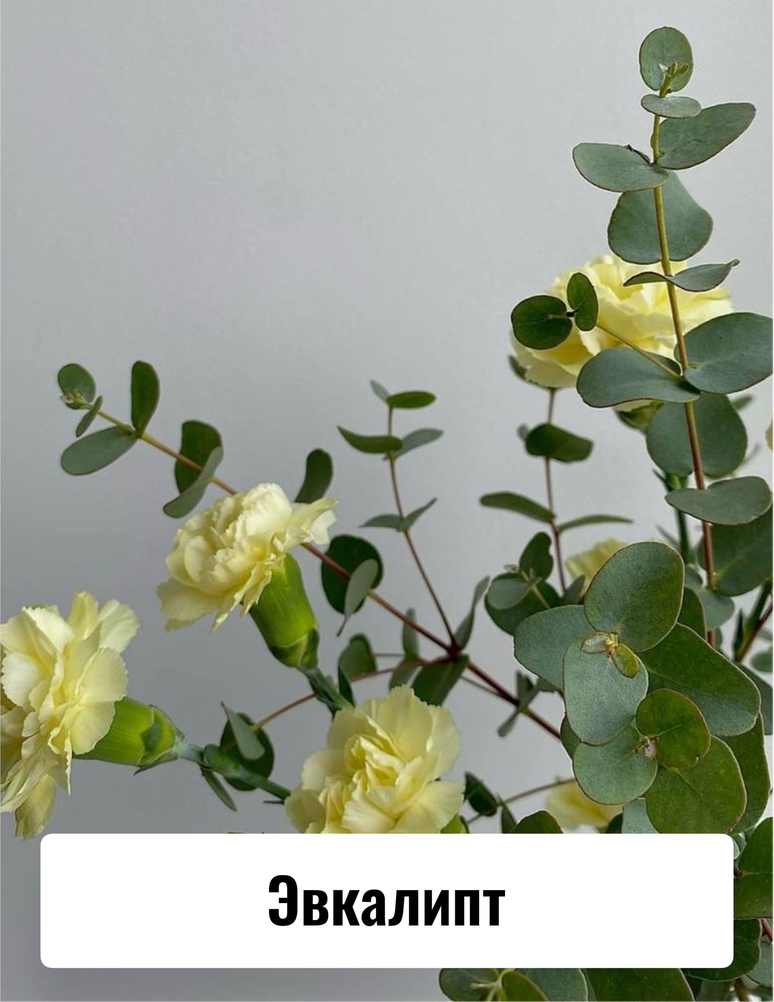 Приглашение на свадьбу