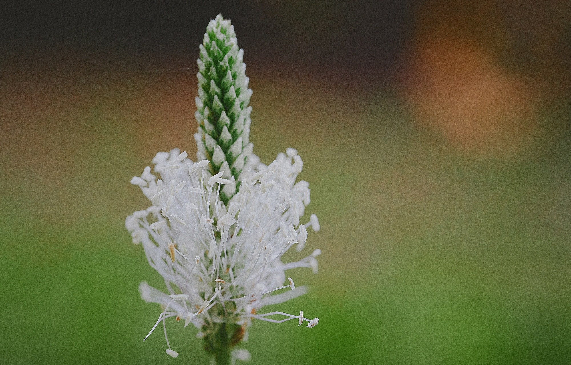 Ледокол знаний. Международная онлайн-фотошкола Сергея Рожнова
