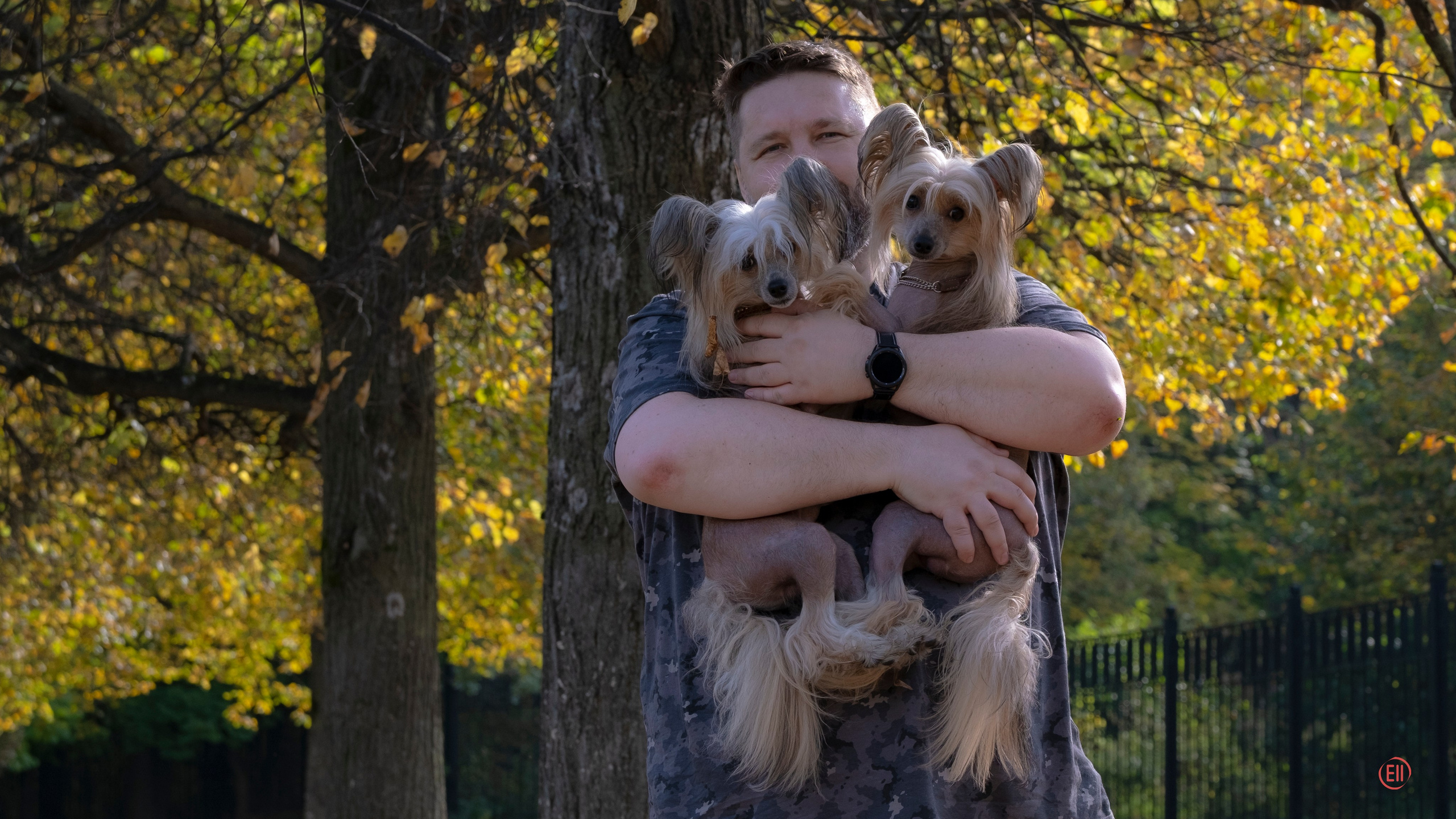 On a walk. Chinese Crested Dog Kennel Poale Ell
