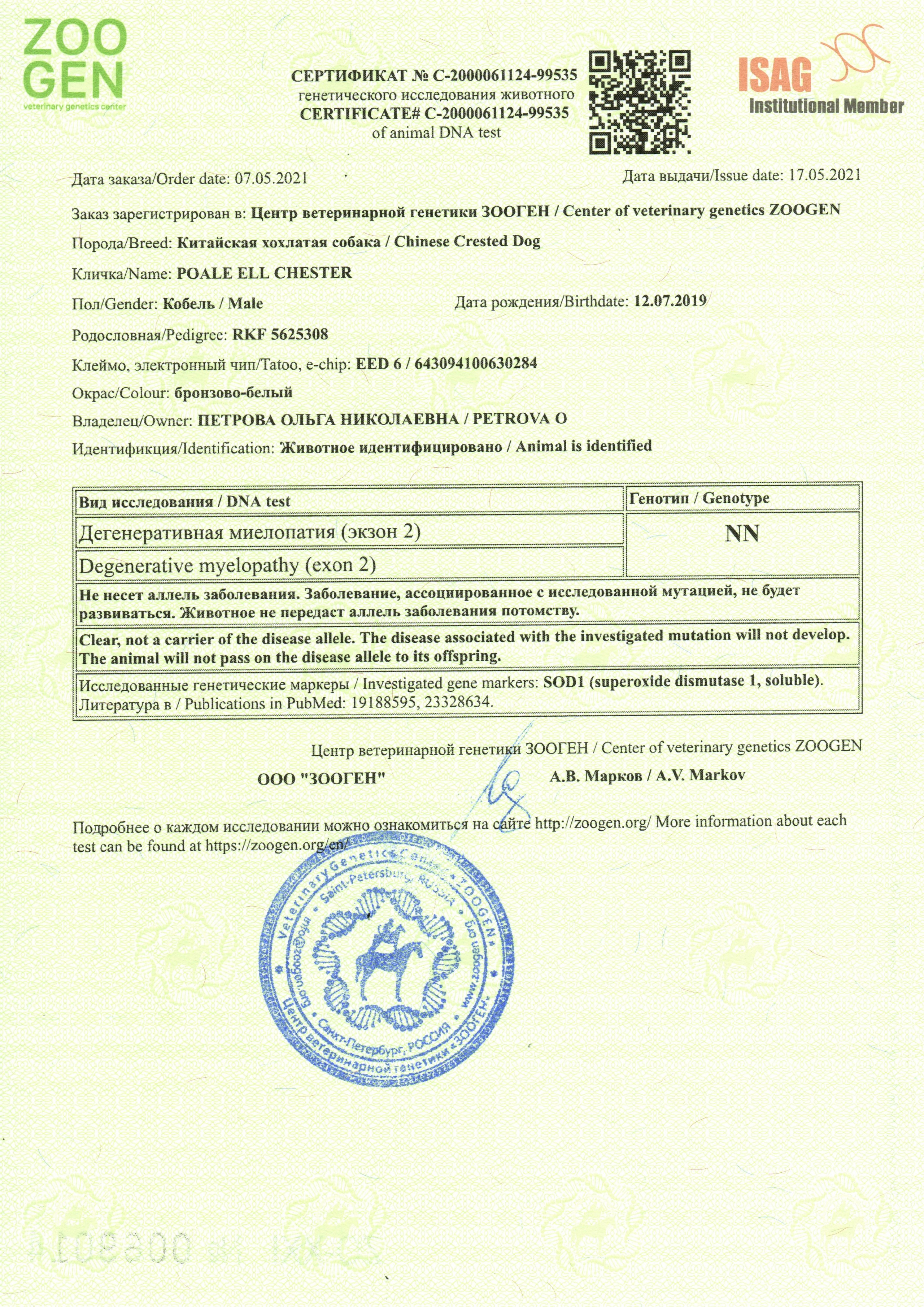 Poale Ell Chester. Питомник китайских хохлатых собак Poale Ell: купить щенка