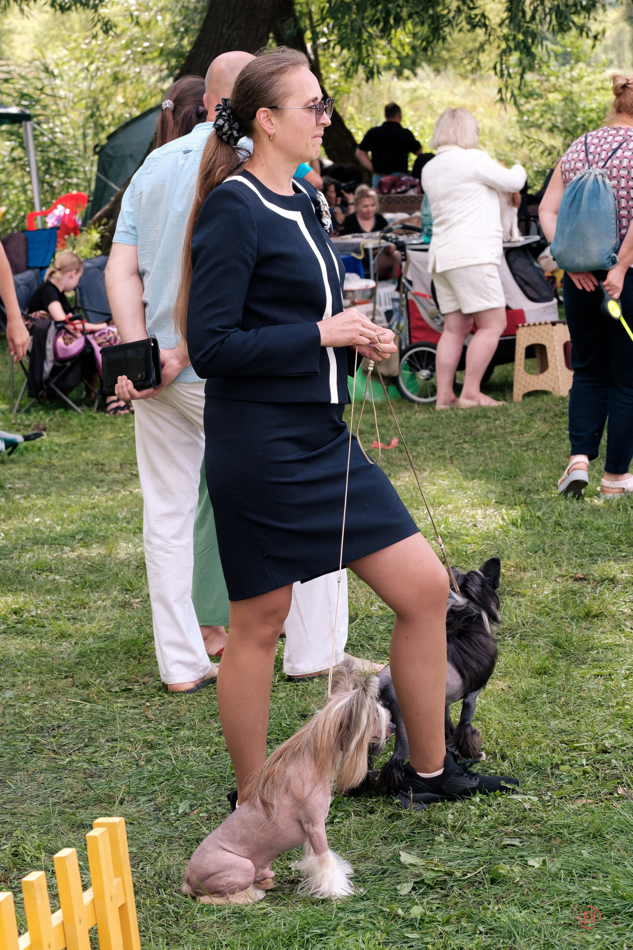 Липецк. Выставка собак. Питомник китайских хохлатых собак Poale Ell: купить щенка