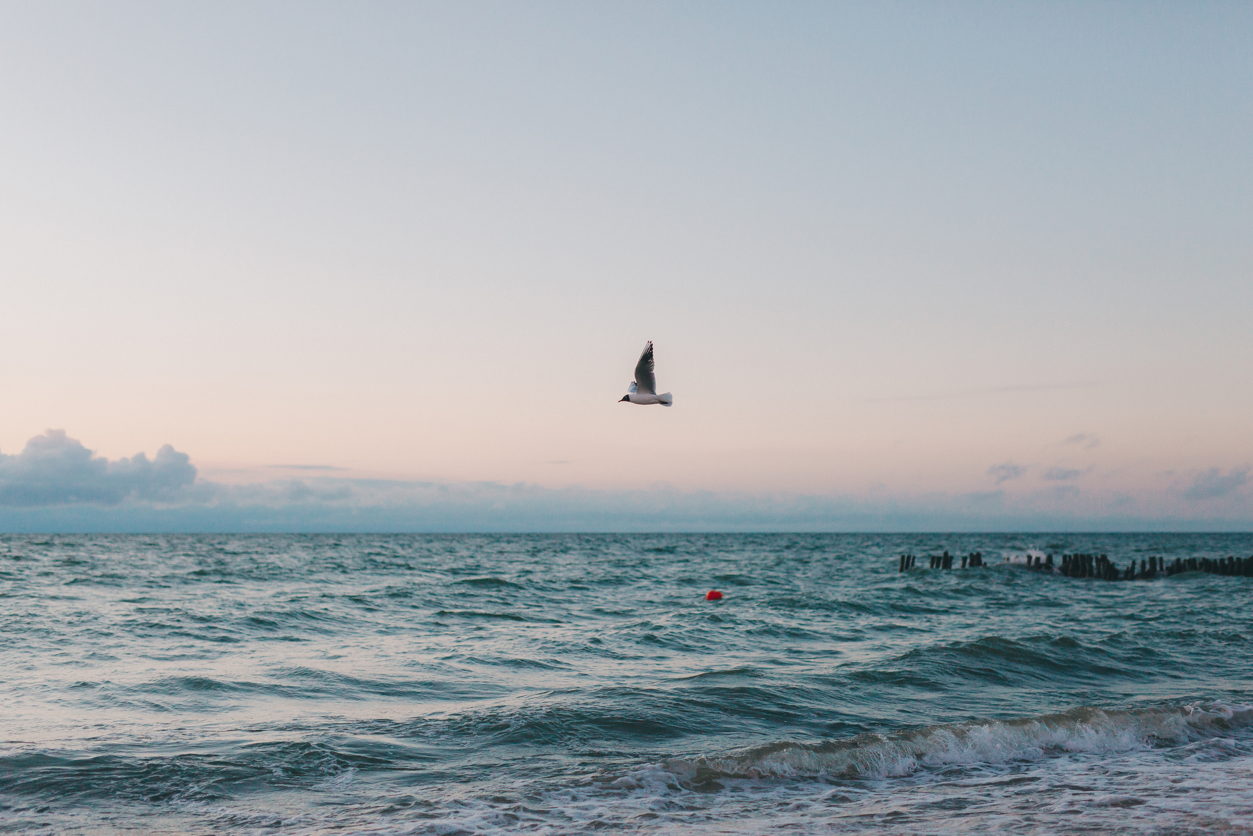 Услуги фотограф Зеленоградск. Фотограф Зеленоградск Красильникова Елена
