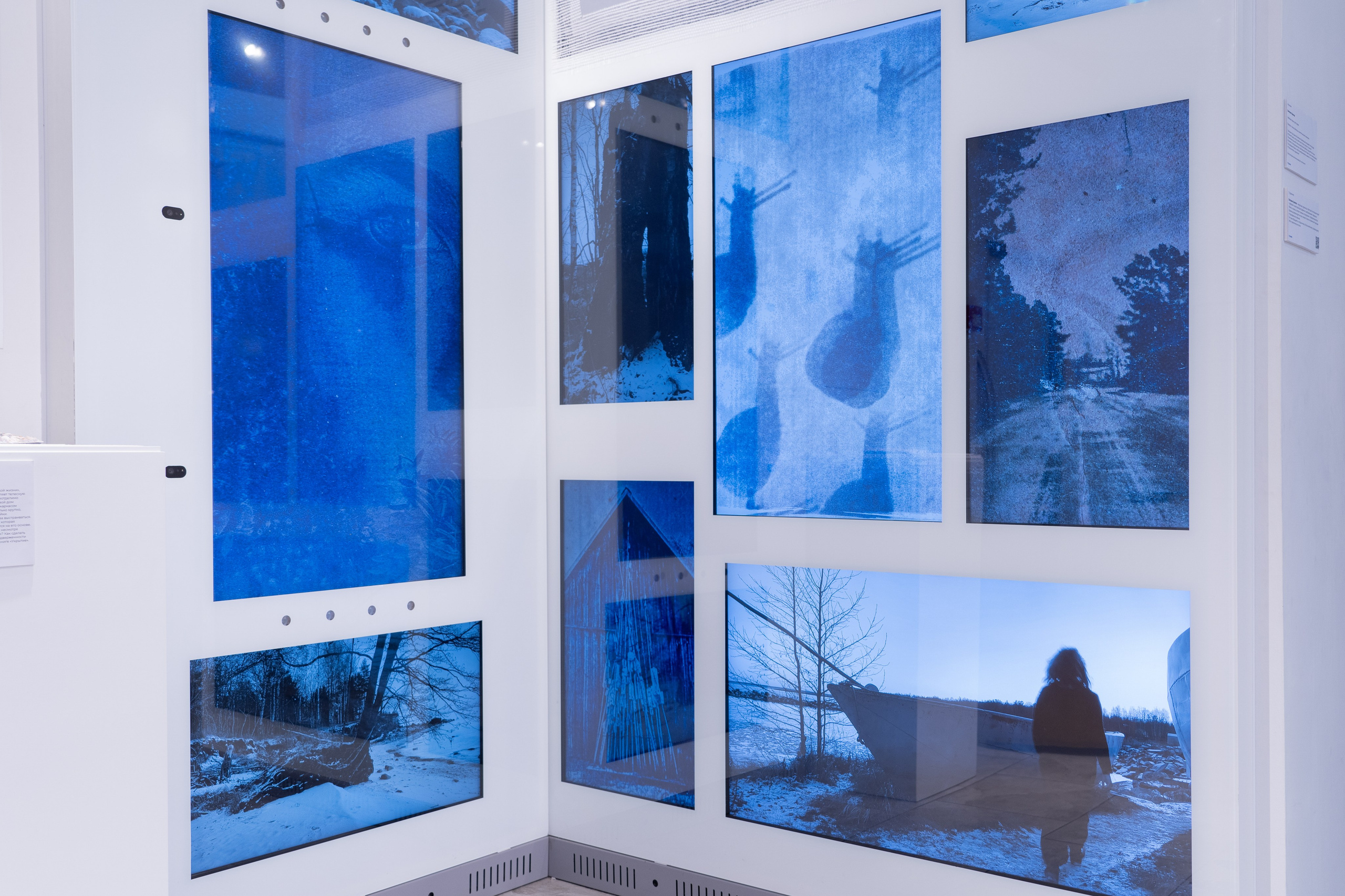 Укрытие. Катрин Эдельвак