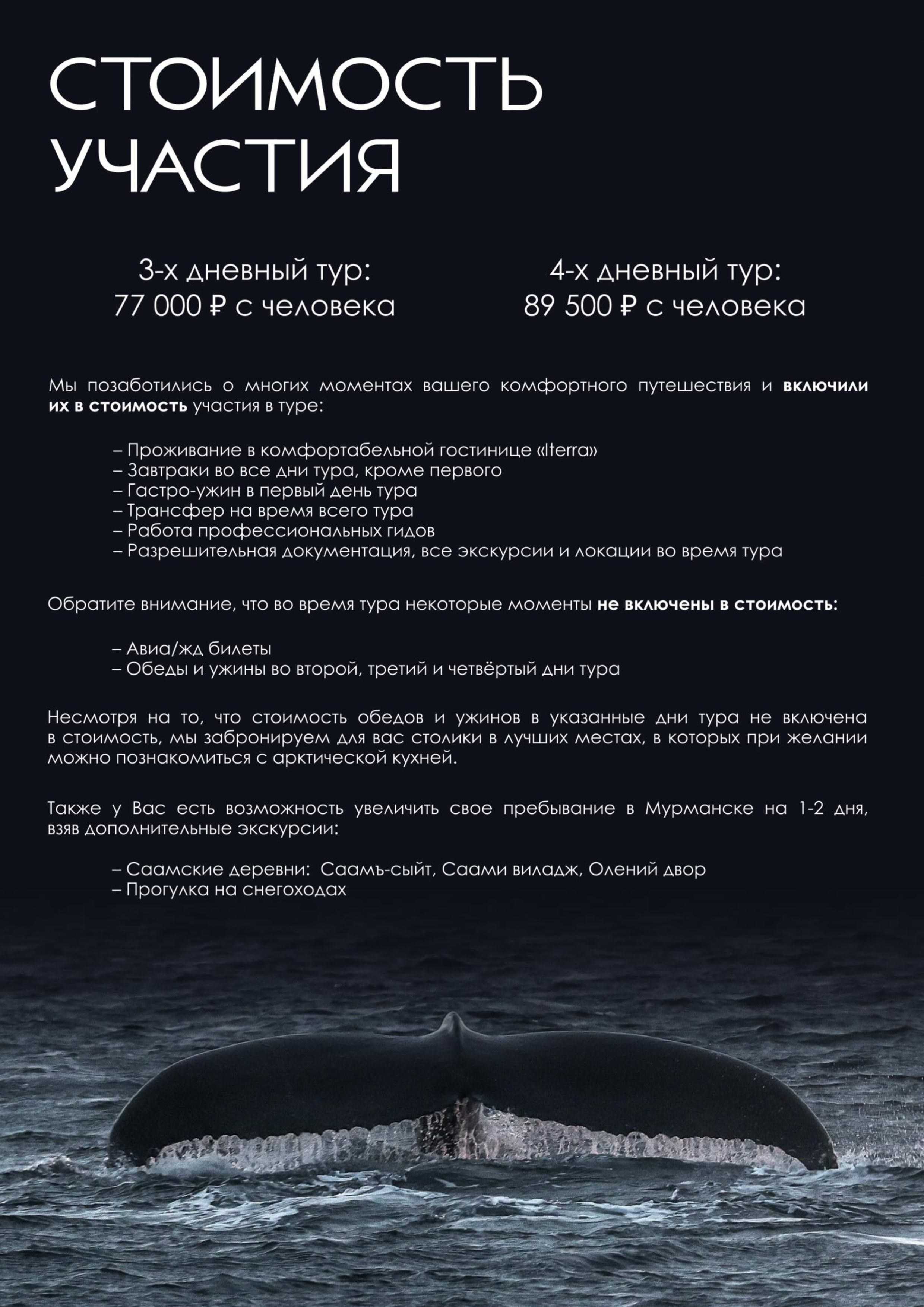 Мурманск | зима