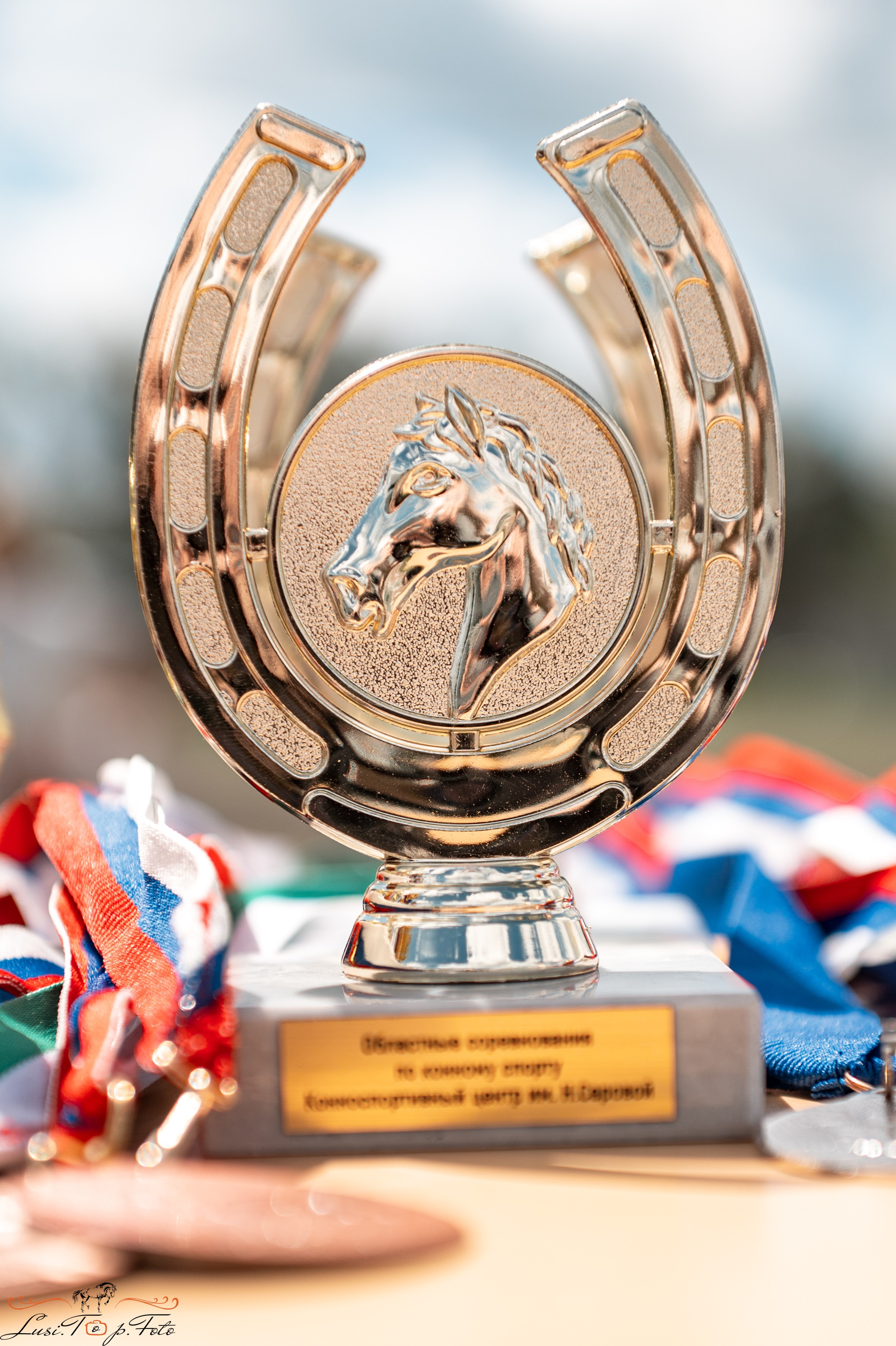 Областные соревнования по выездке. Тверь. Конный и фотограф с животными в Твери Топталова Люся